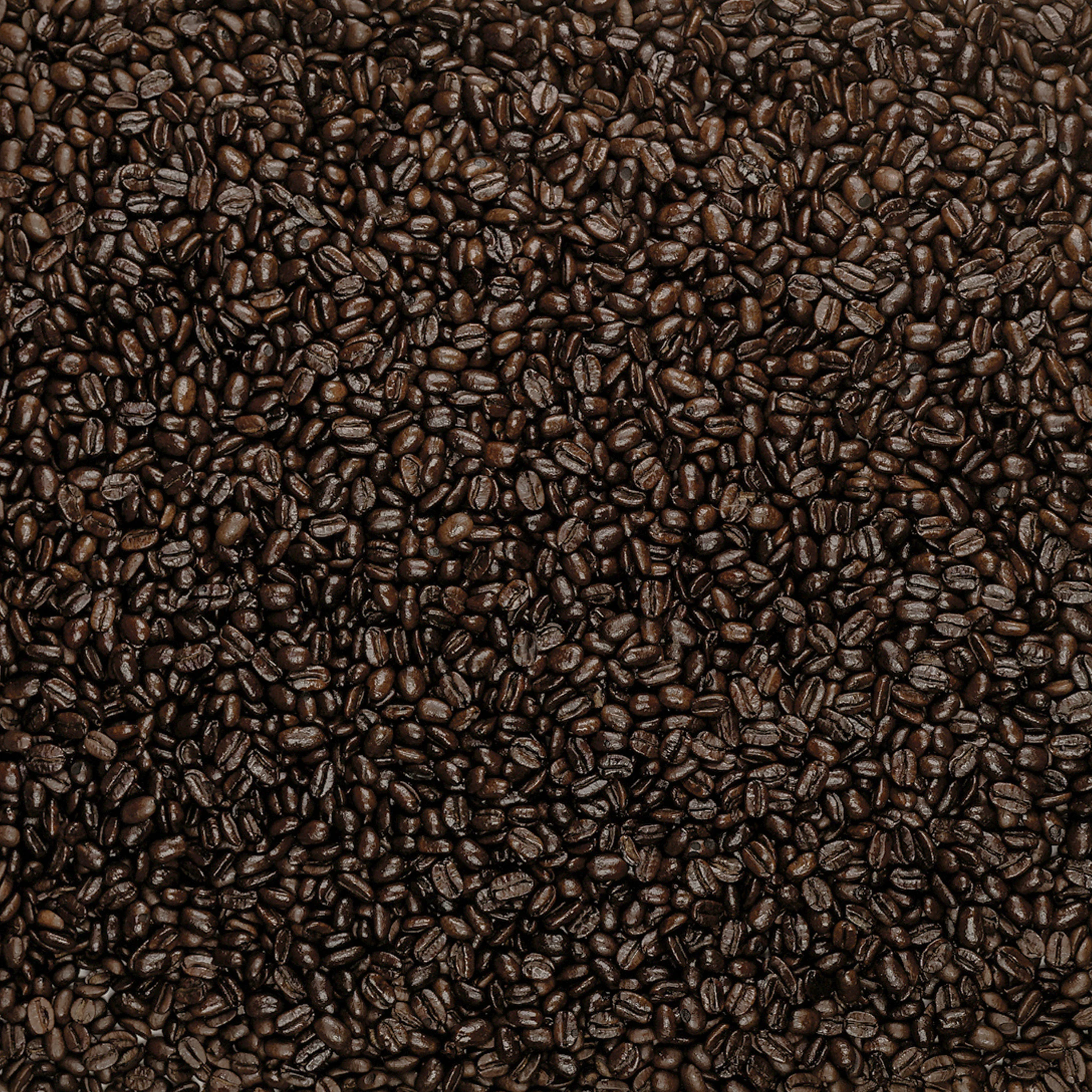 Organic Noyo Harbor French Whole Bean Coffee - Image 6