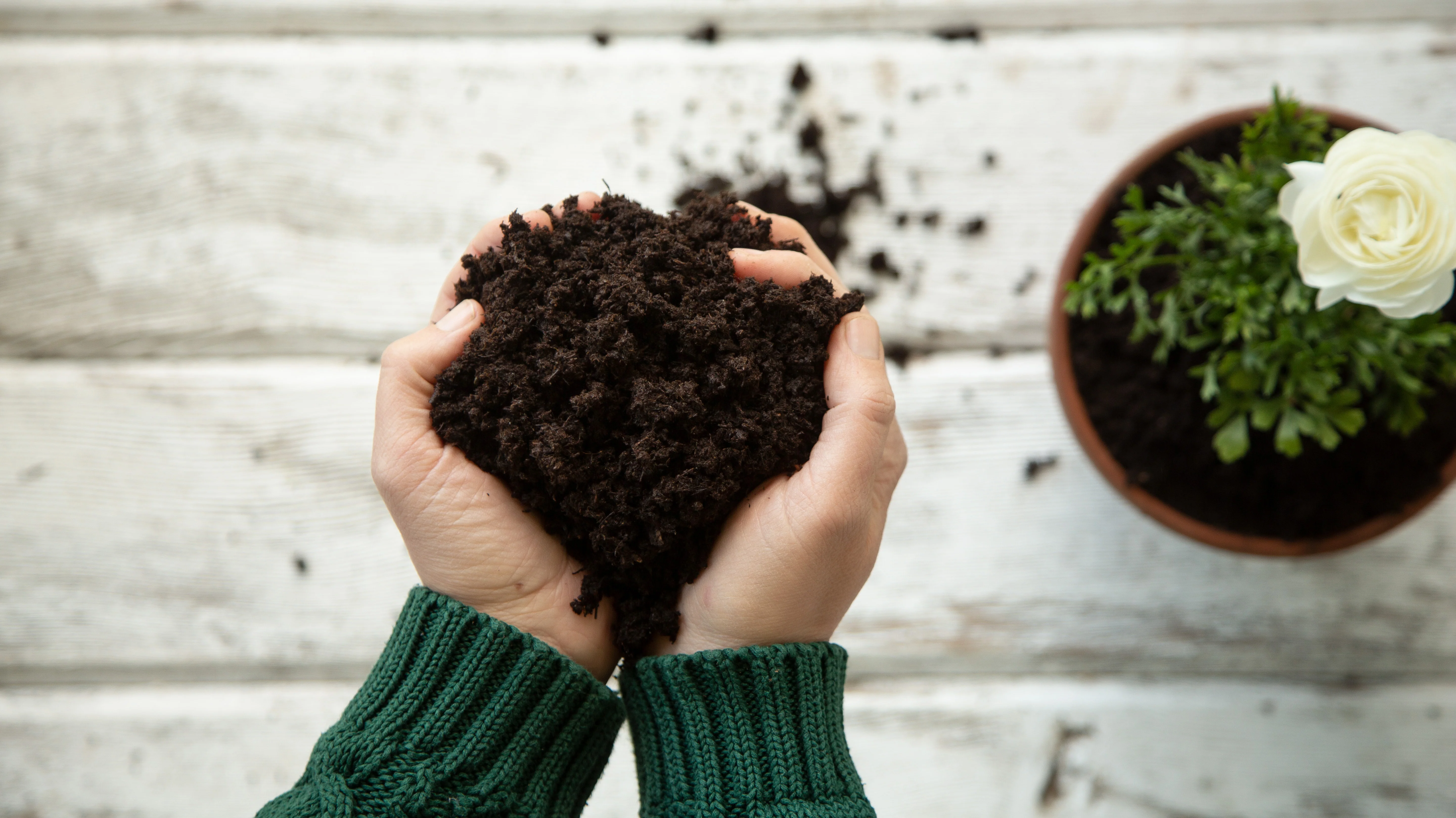 Organic Indoor & Outdoor Potting Soil, 20 Soil Discs - Image 6