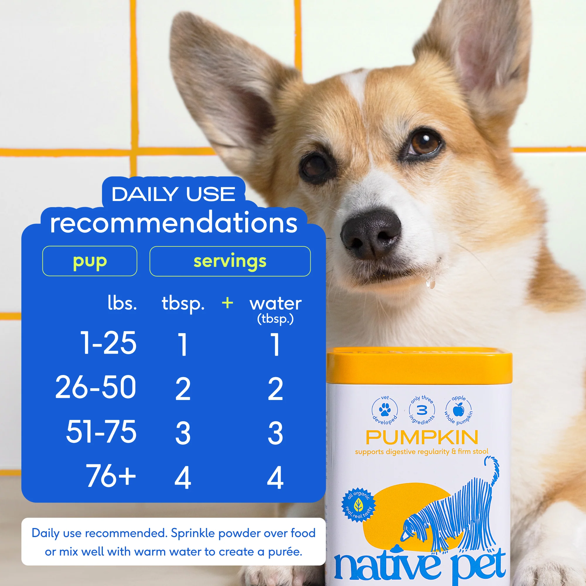Organic Pumpkin Powder Topper for Dogs - Image 6