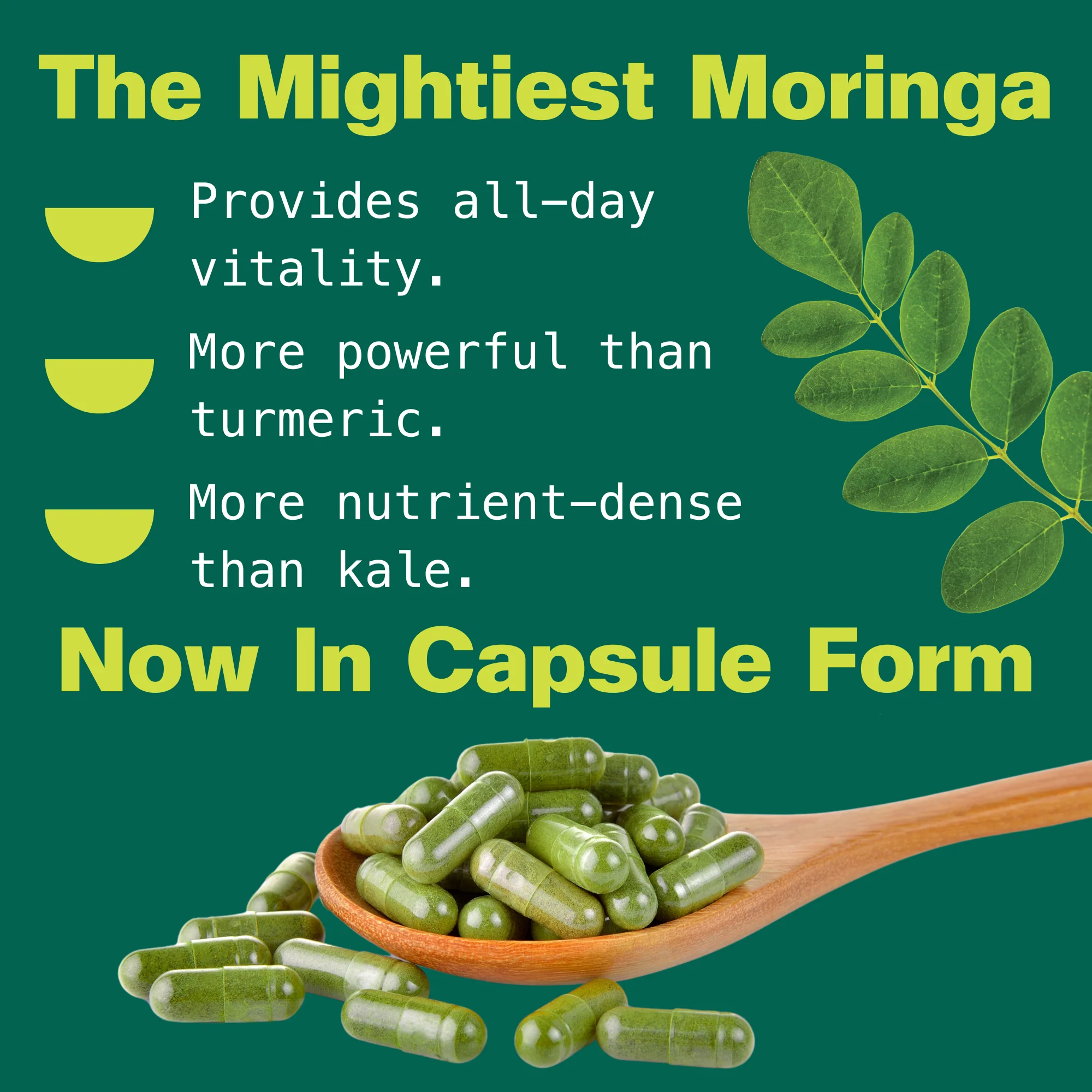 Organic Pure Moringa Capsules - Image 4