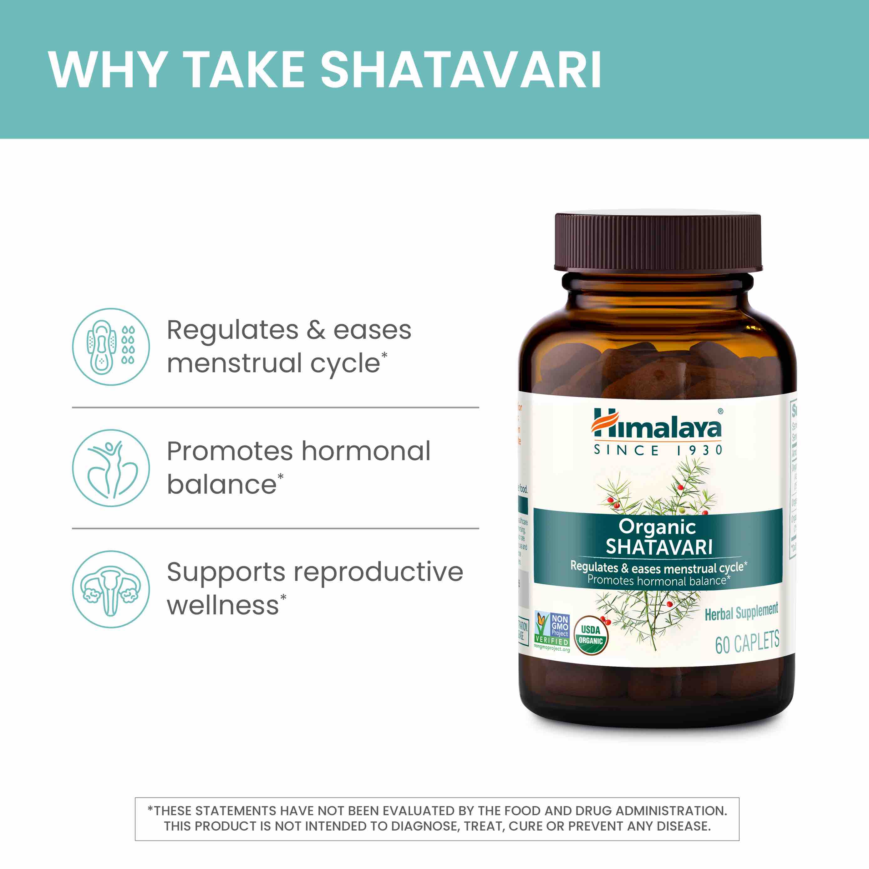 Organic Shatavari - Image 4