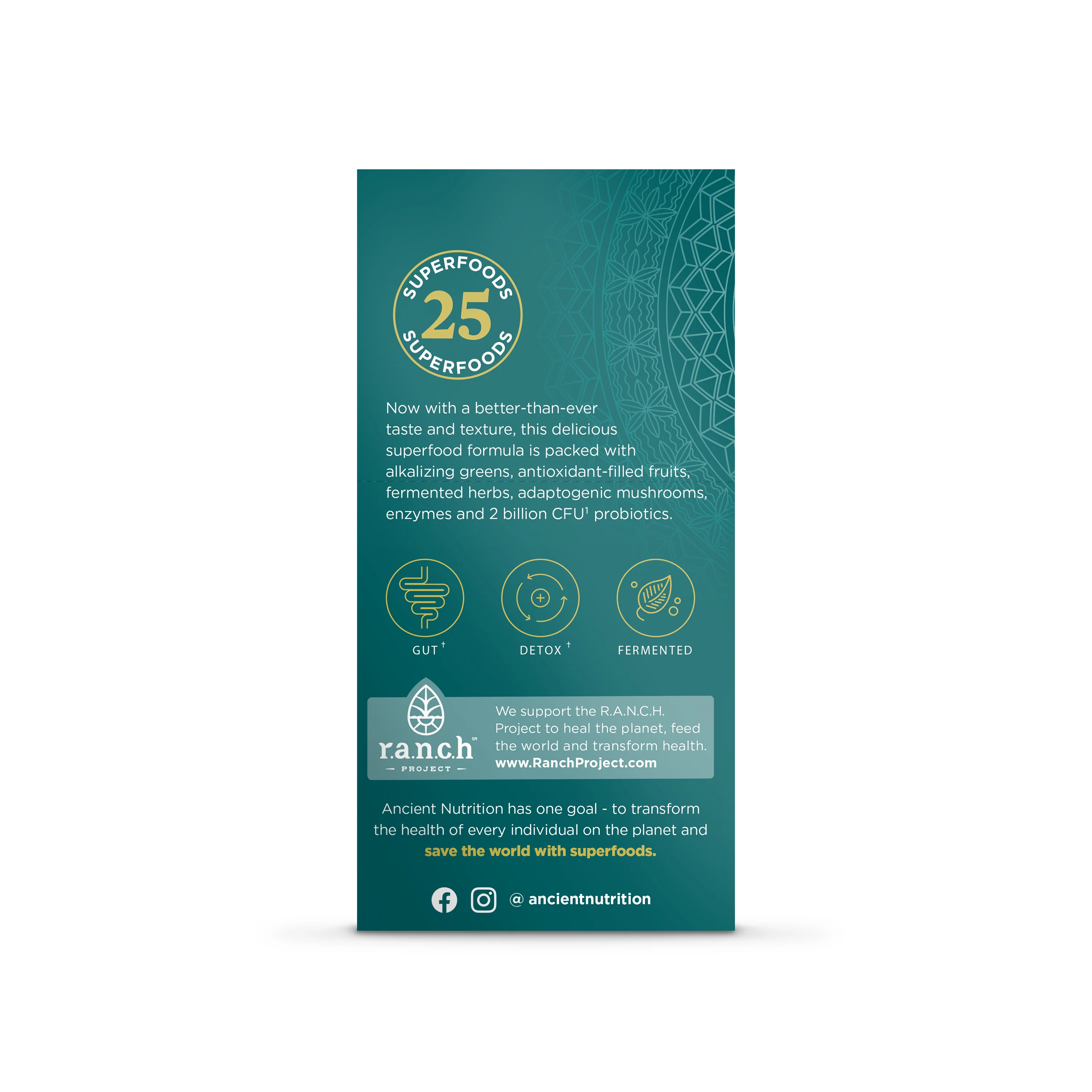 Organic Super Greens Powder Packets - Image 4