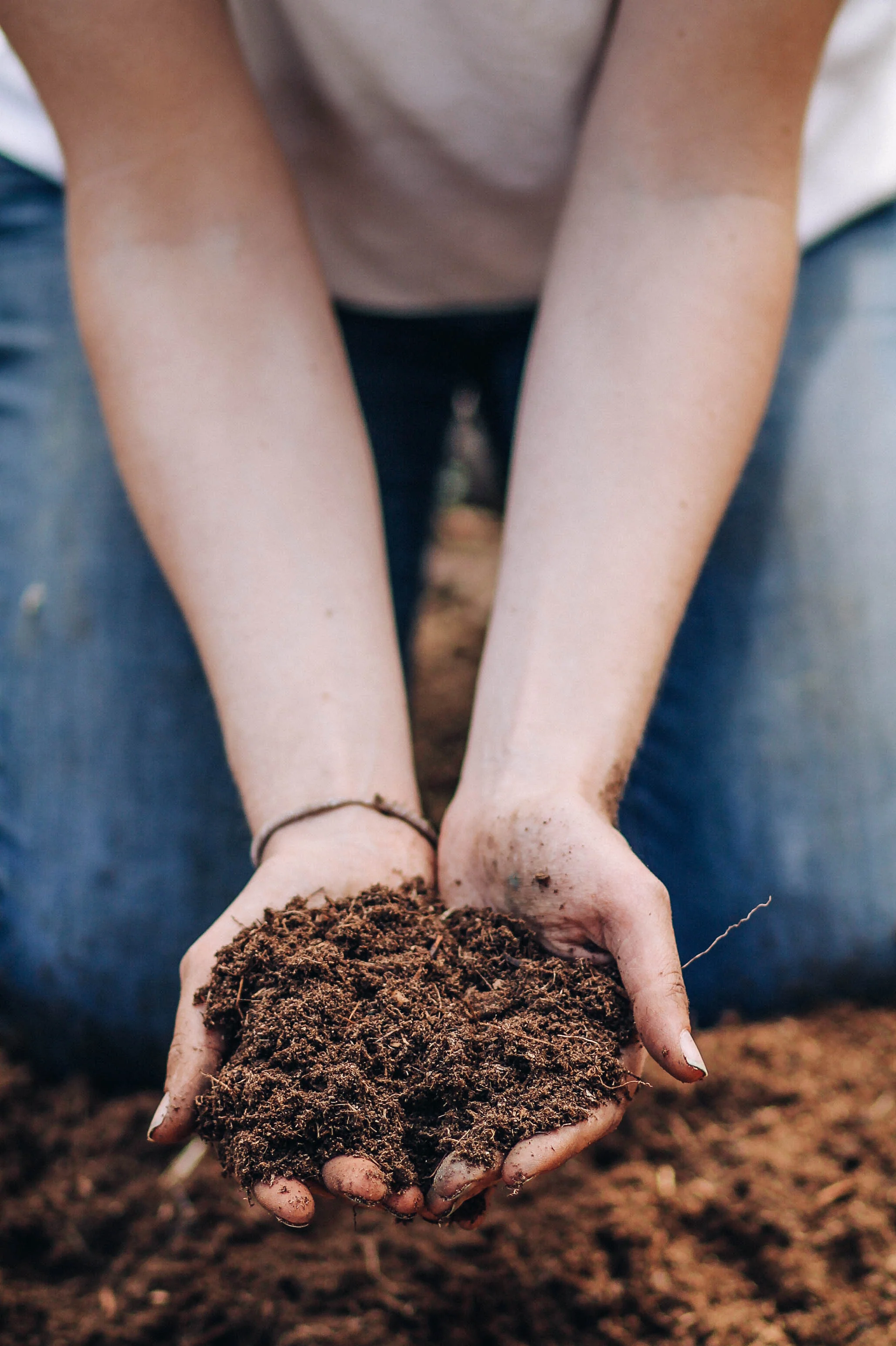 Outdoor Potting Soil Mix - Image 4