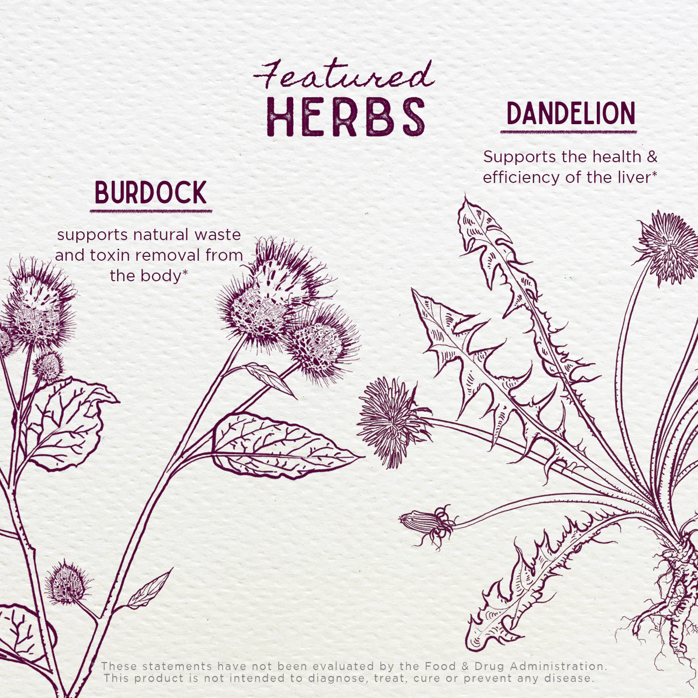 Party Prep - Herbal Supplement - Image 4
