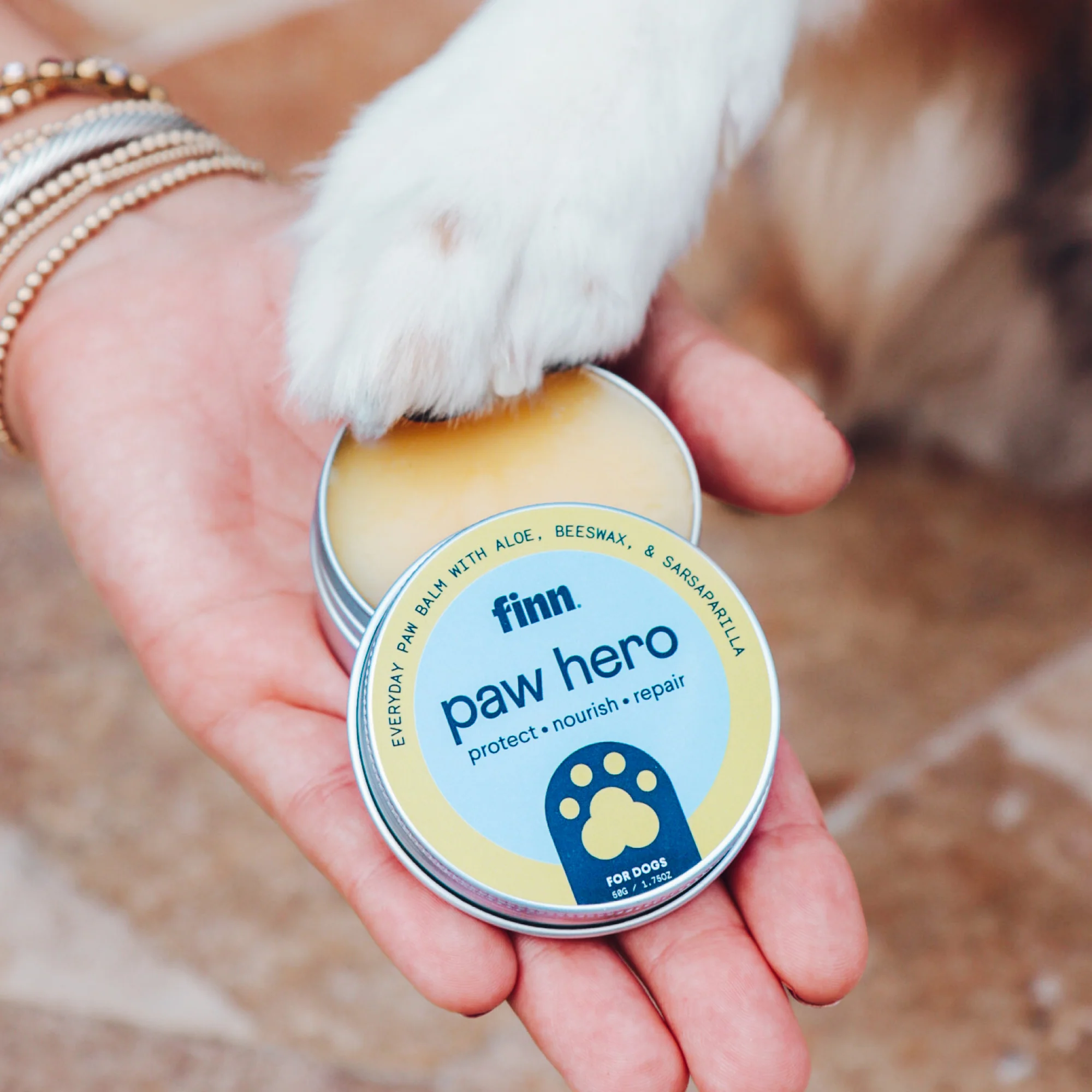 Paw Hero - Image 2