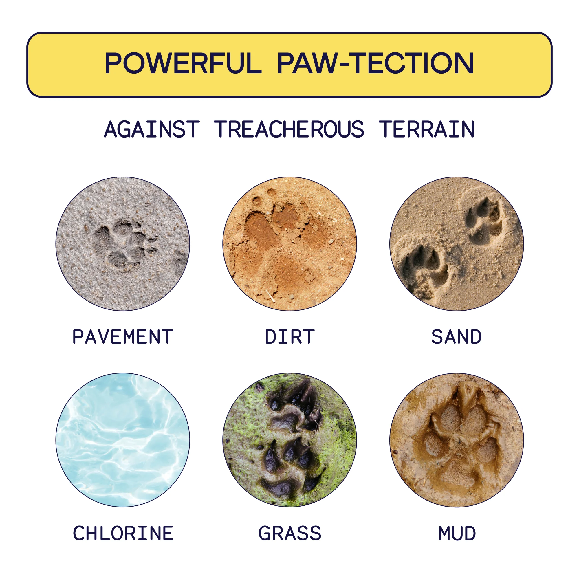 Paw Hero - Image 8