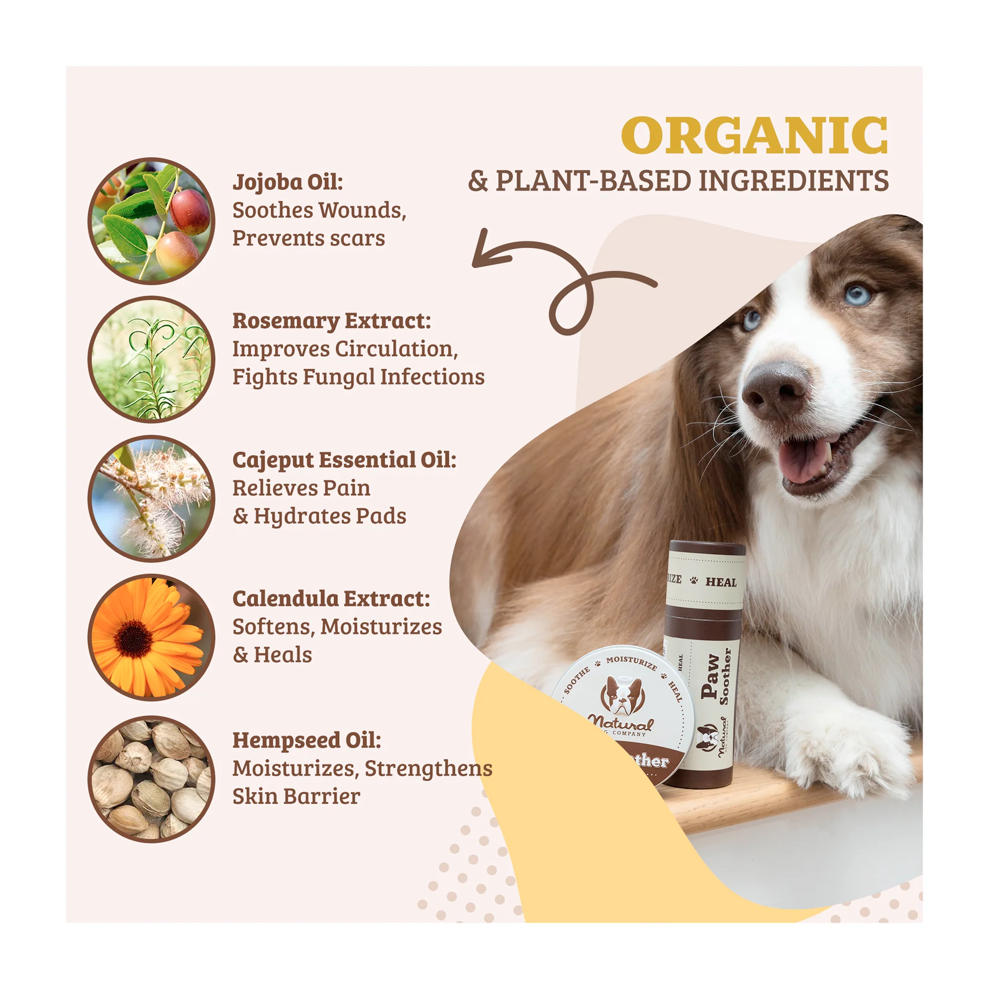 Paw Soother - Image 2