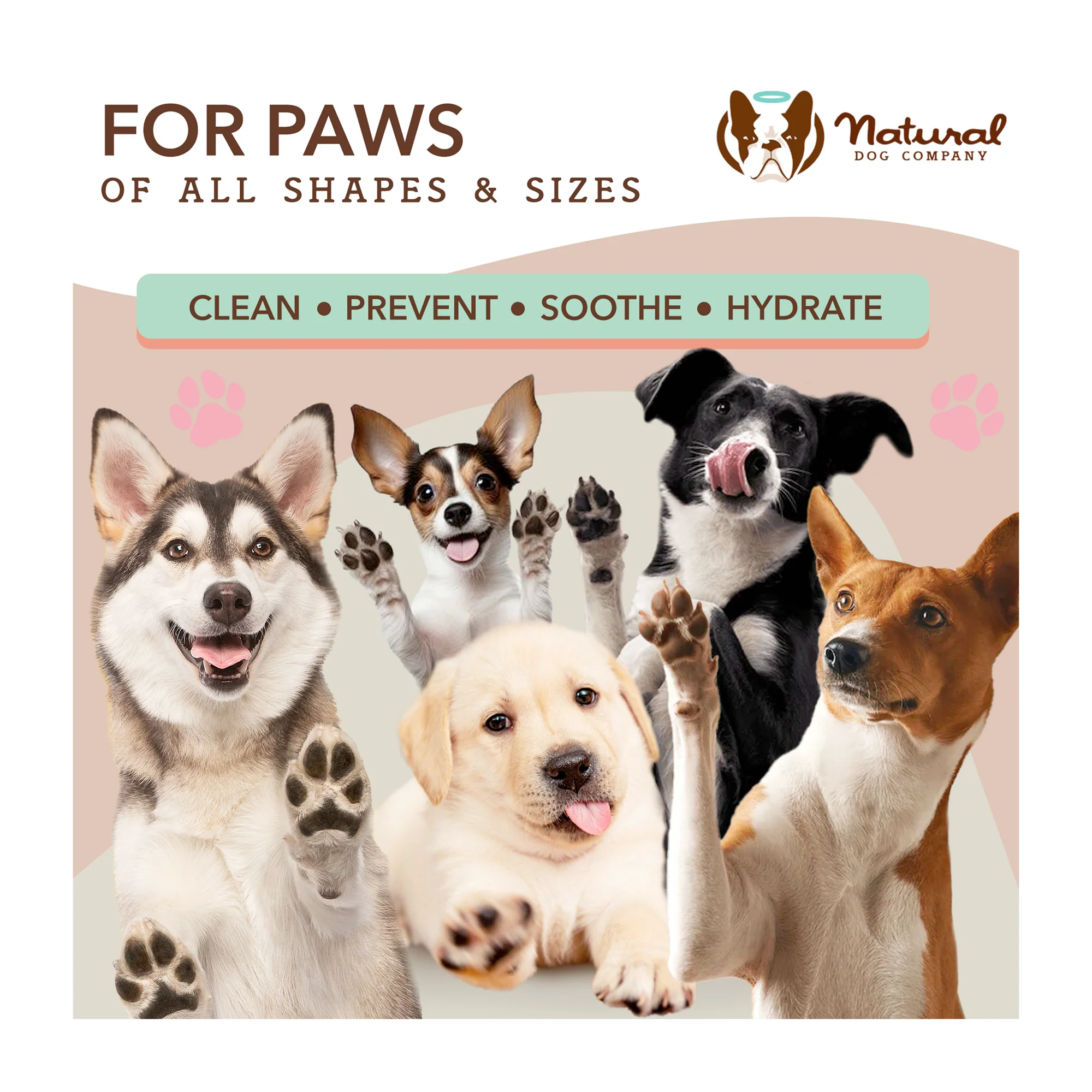 Paw Wipes - Image 6