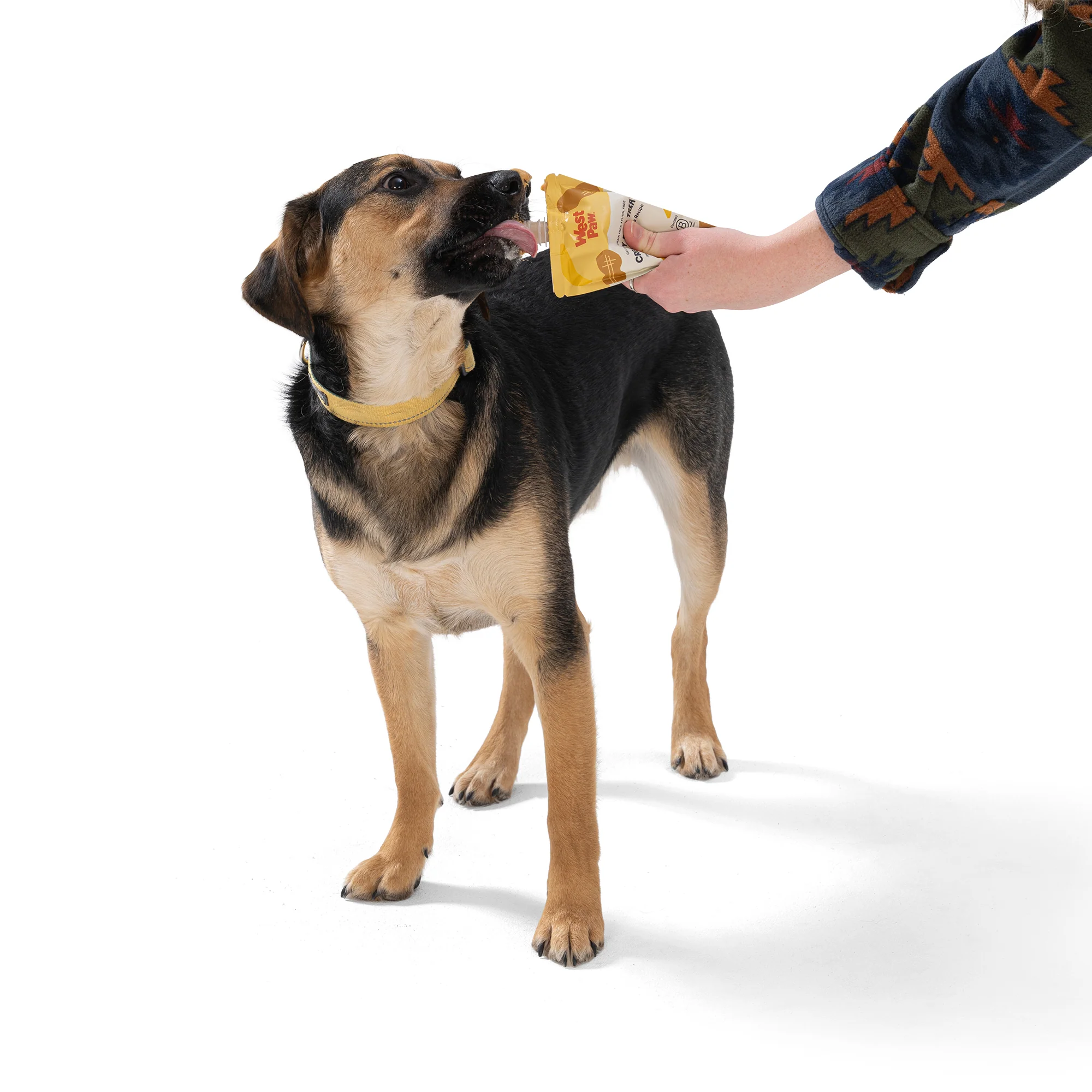 Peanut Butter Banana Creamy Dog Treat - Image 5