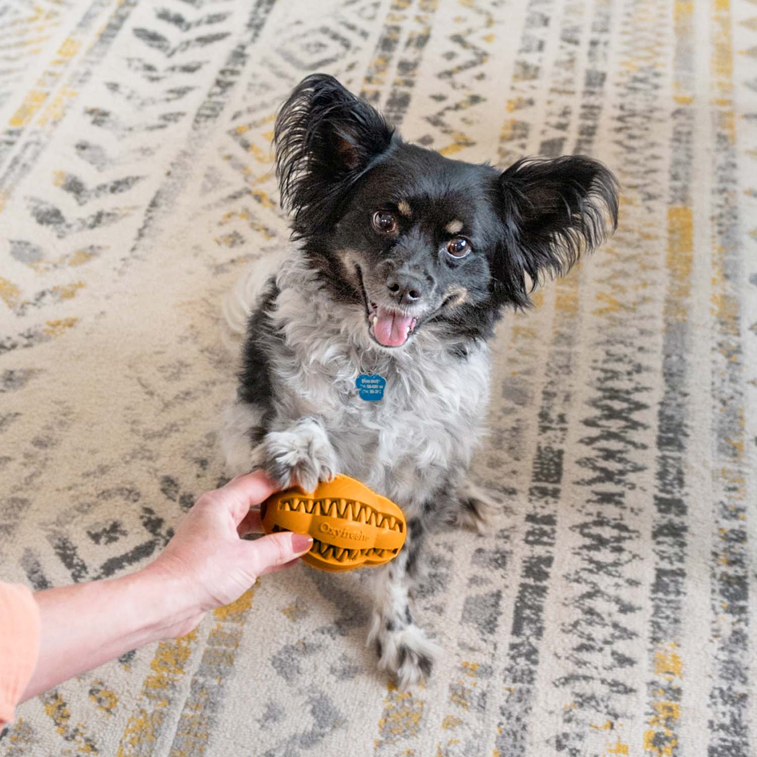 Pet Dental Chew Toy - Image 19