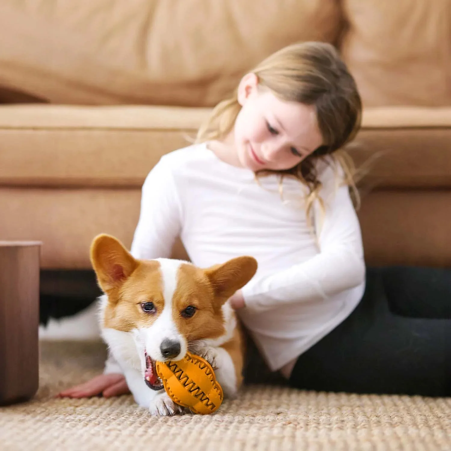 Pet Dental Chew Toy - Image 22
