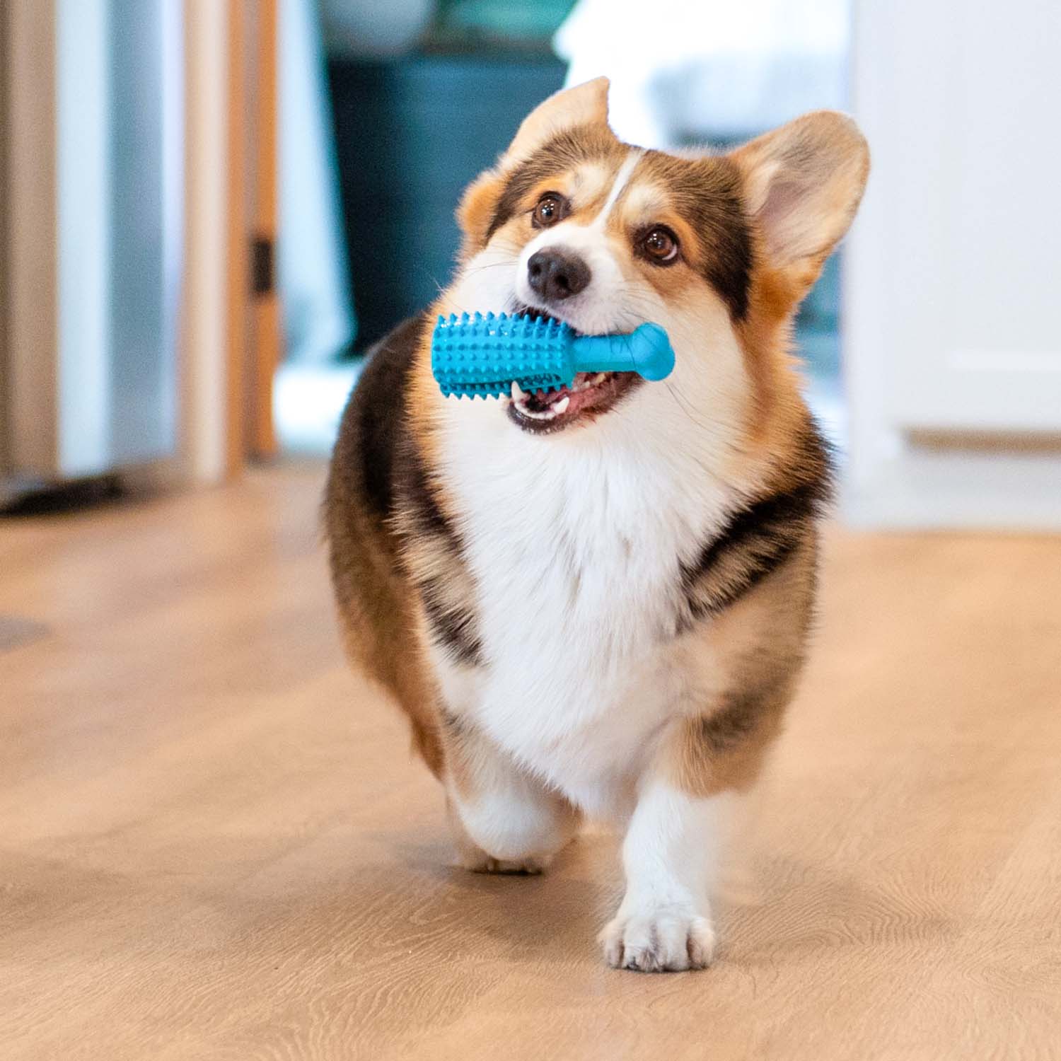 Pet Dental Chew Toy - Image 5