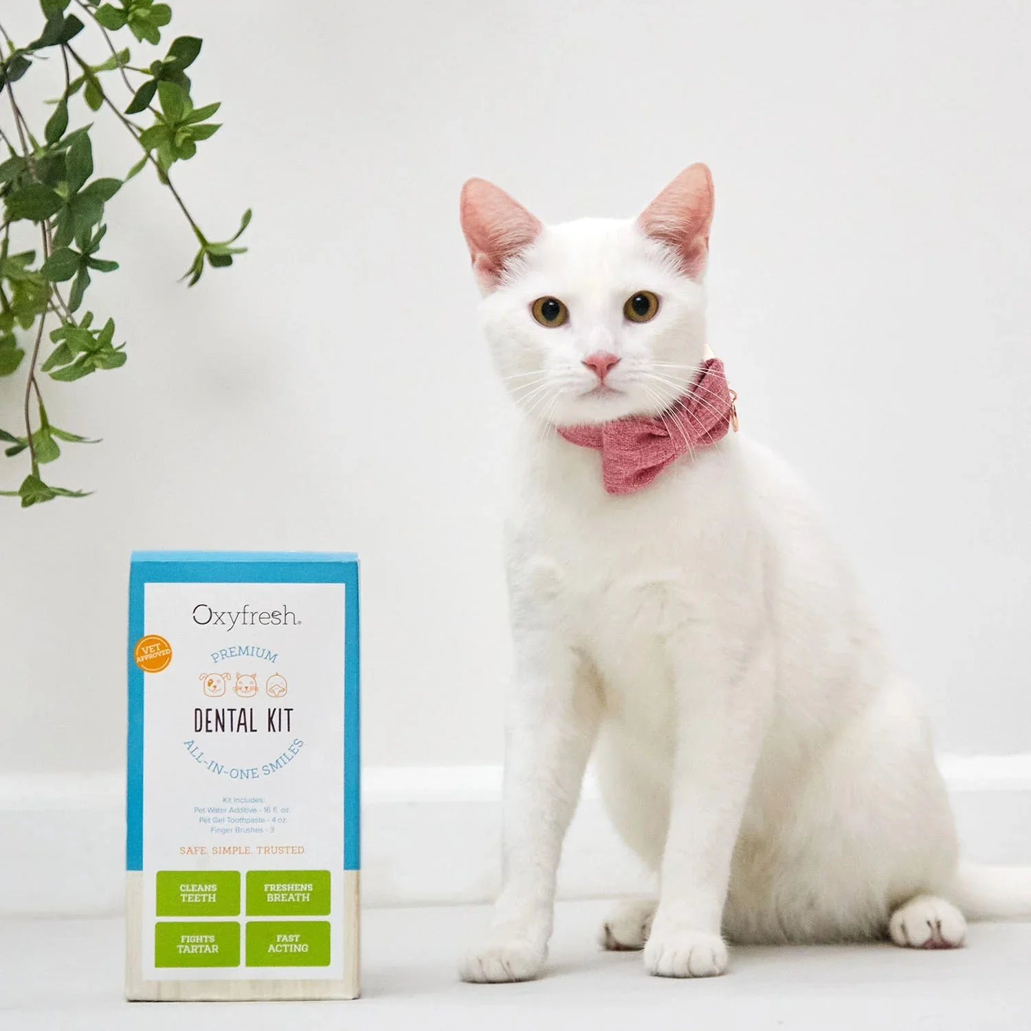 Pet Dental Kit - Image 23
