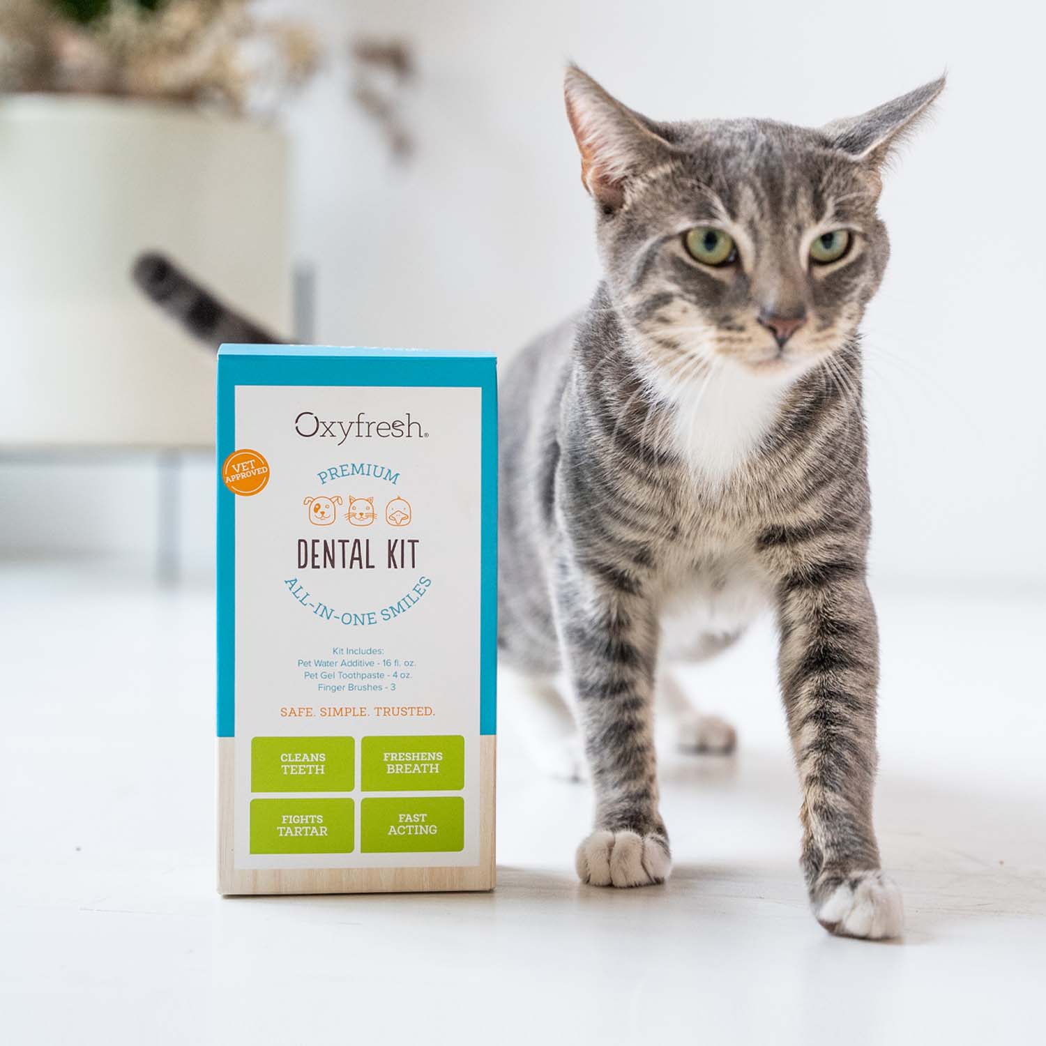 Pet Dental Kit - Image 3