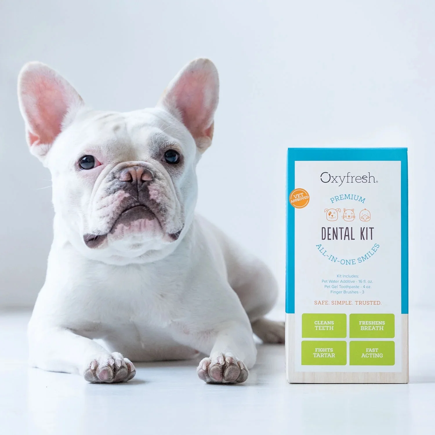 Pet Dental Kit - Image 6