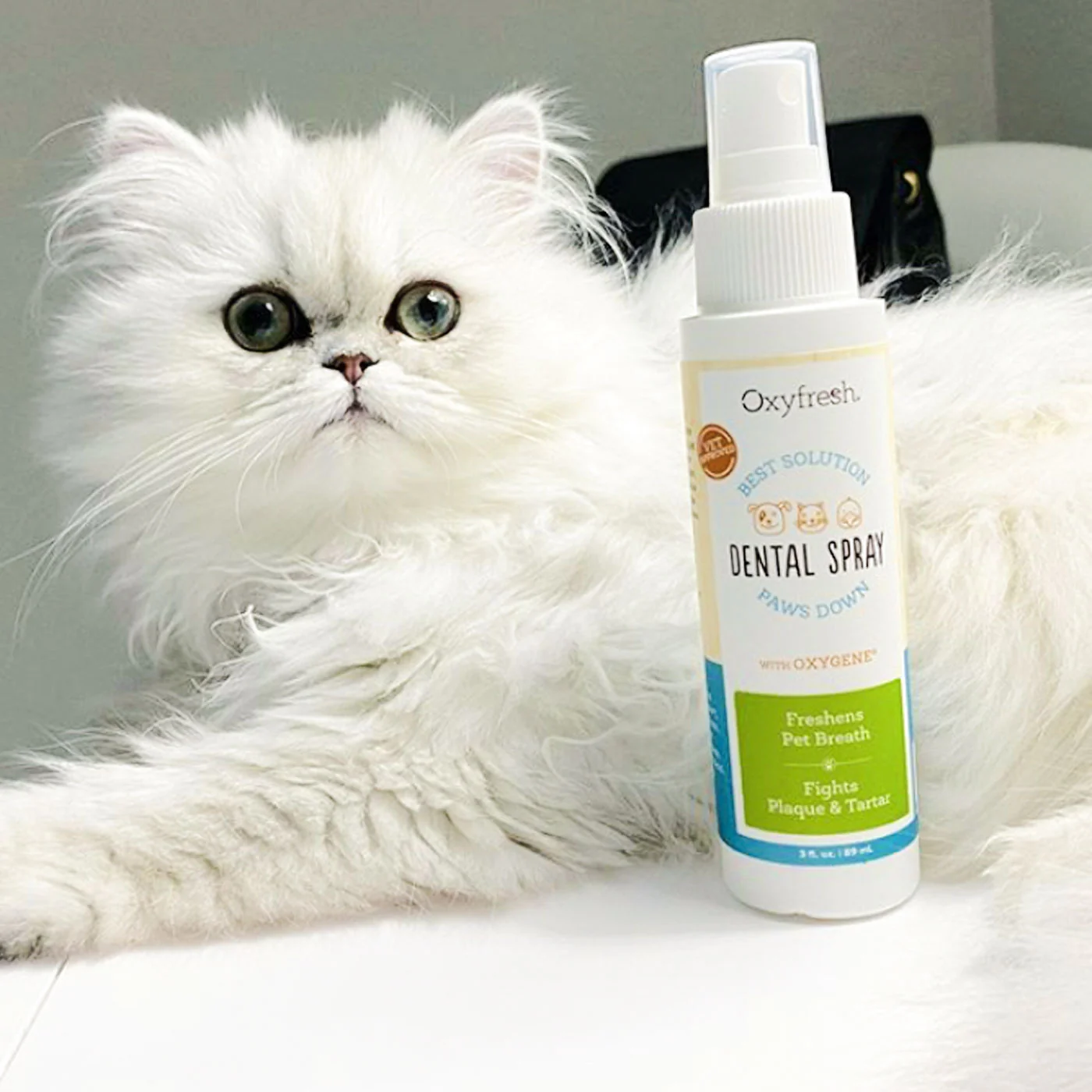 Pet Bad Breath Fast Acting Dental Spray - Image 3