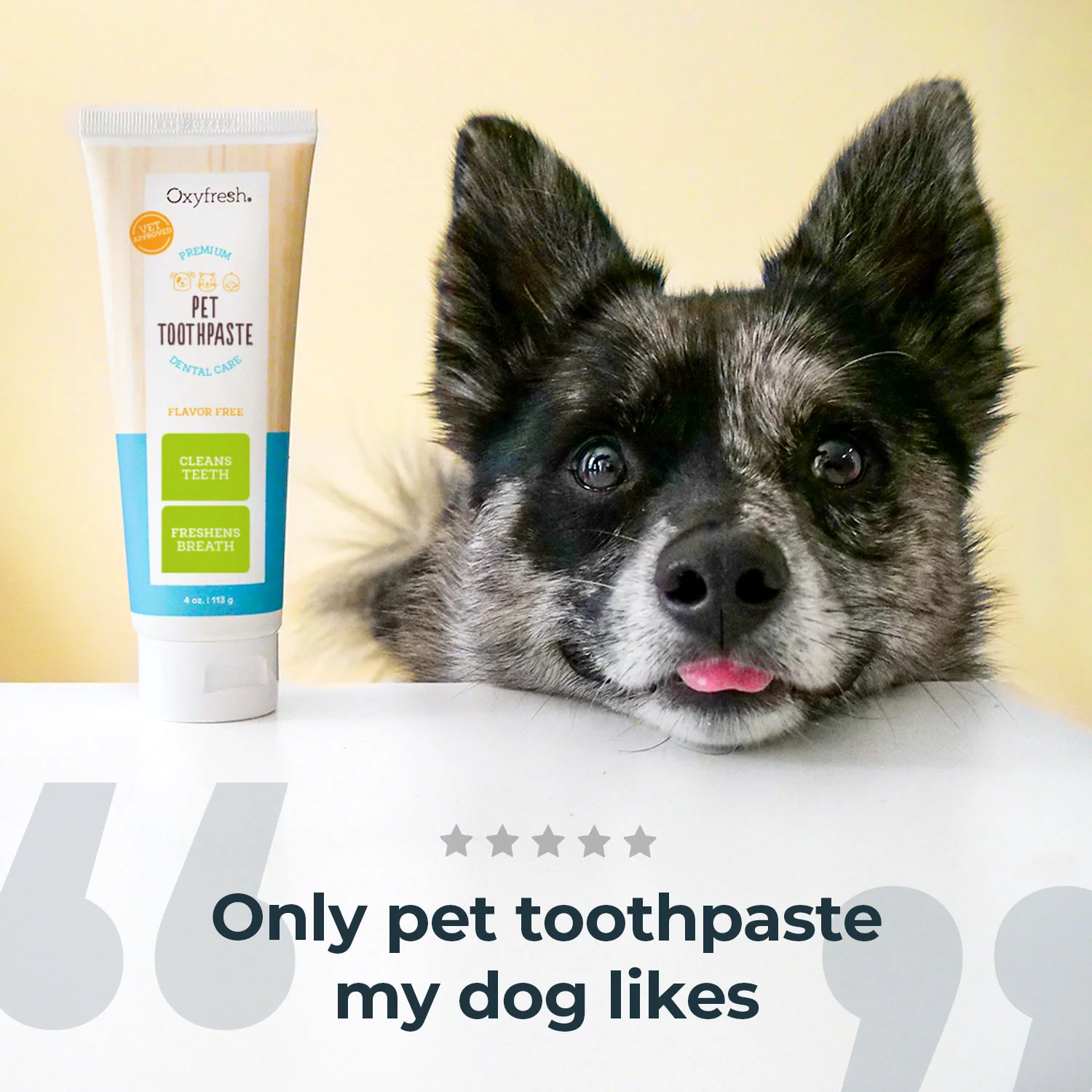 Pet Dental Gel + Fingerbrush Kit - Image 10