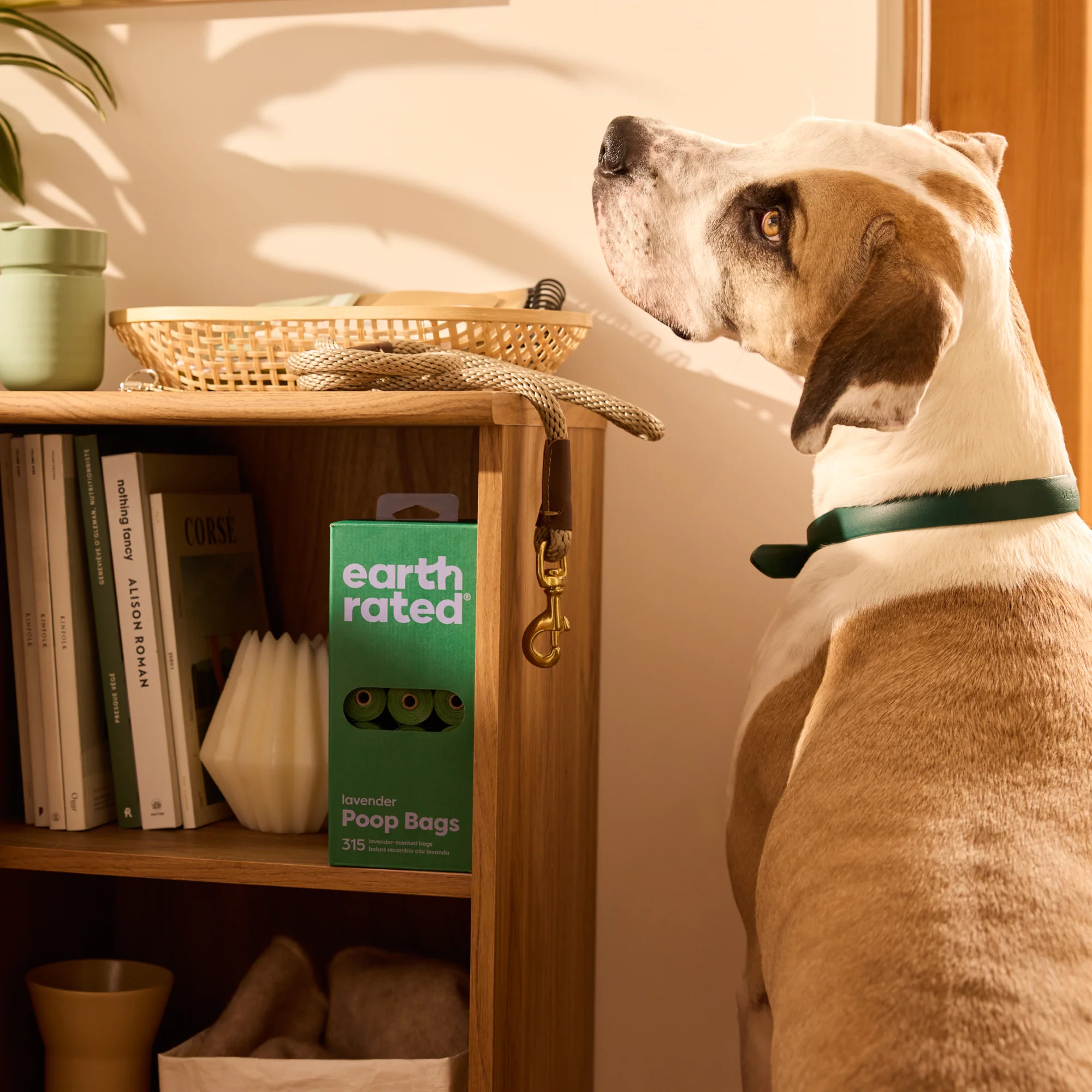 Pet Waste Bags - Image 16
