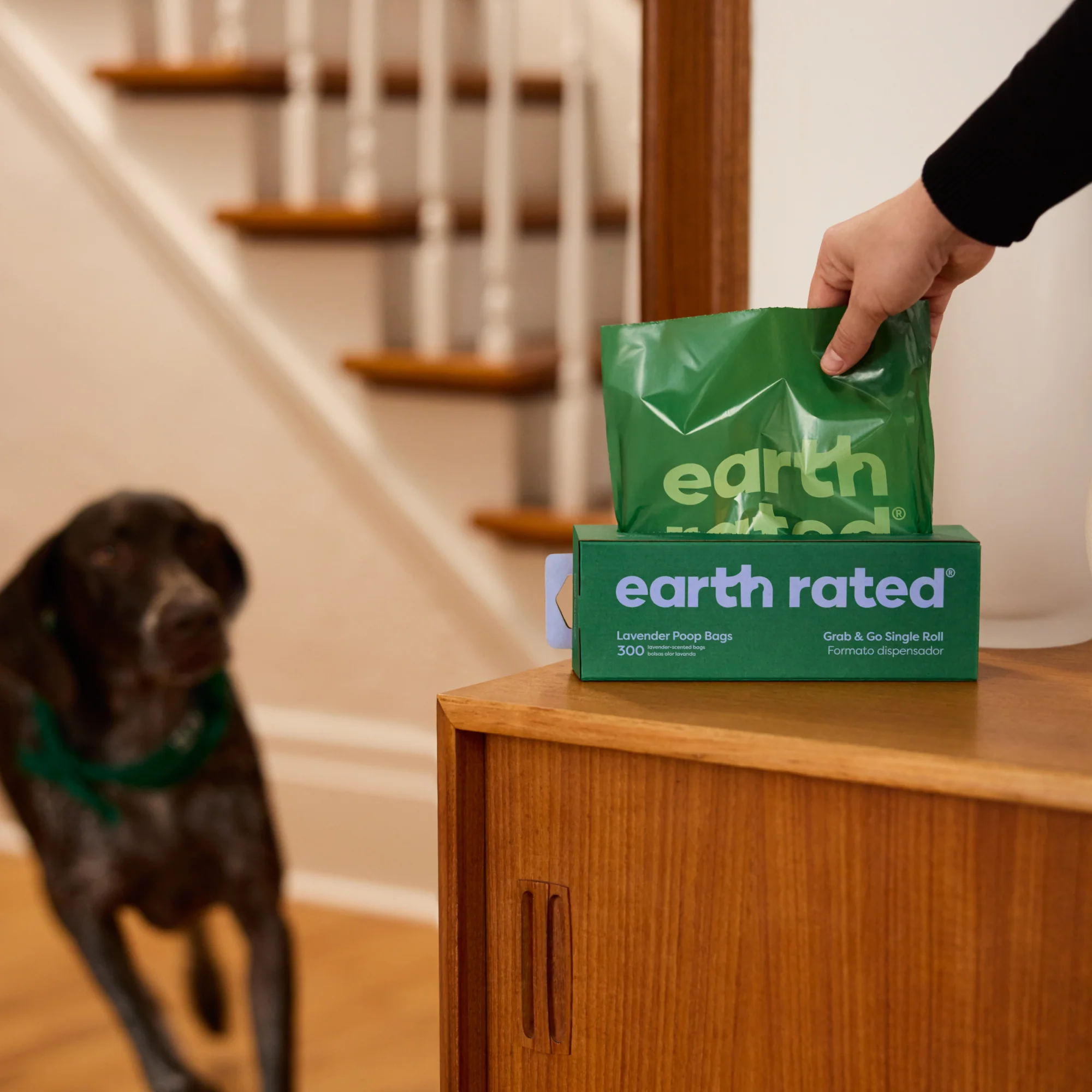 Pet Waste Bags, Large Single Roll Refill - Image 10