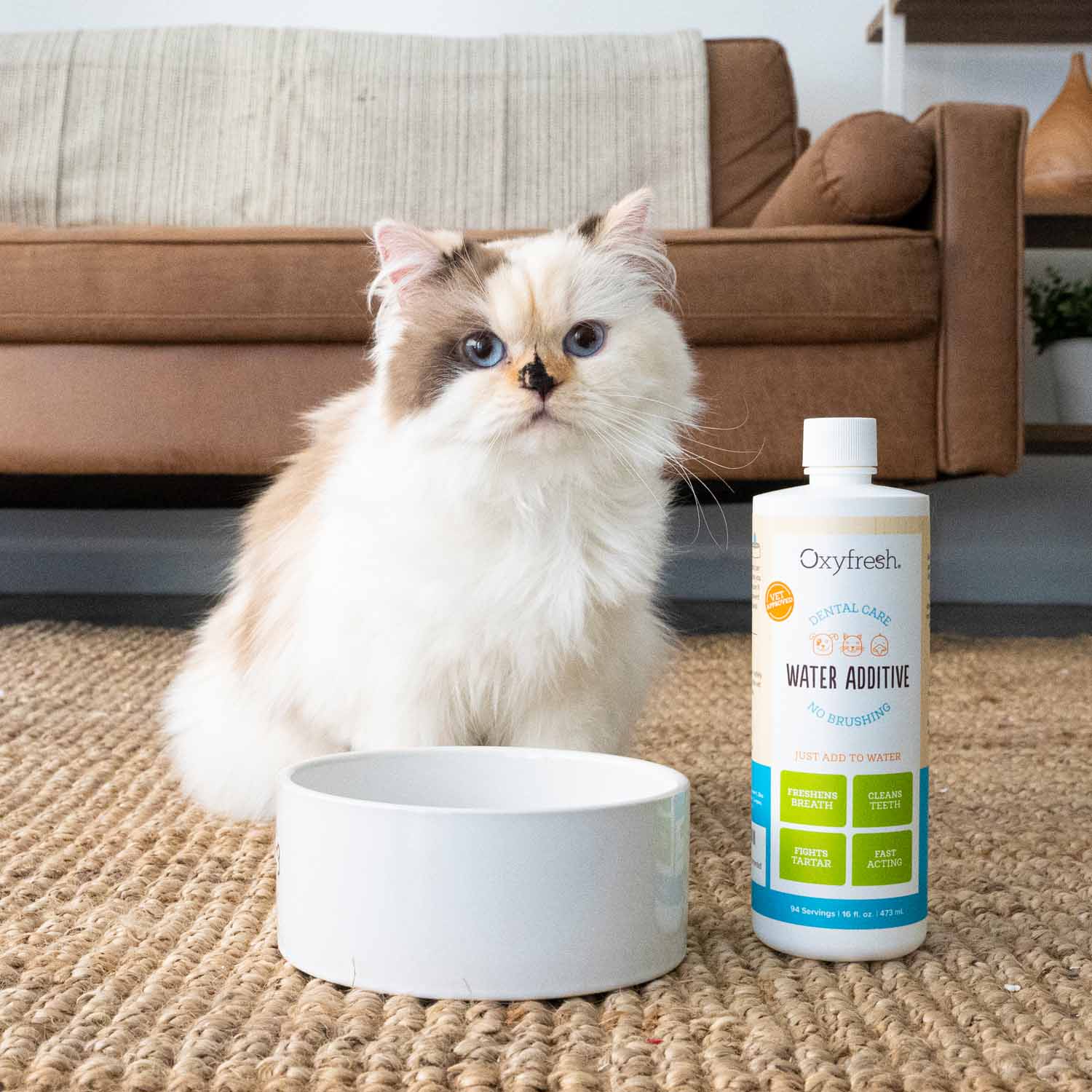 Pet Water Additive - Image 11