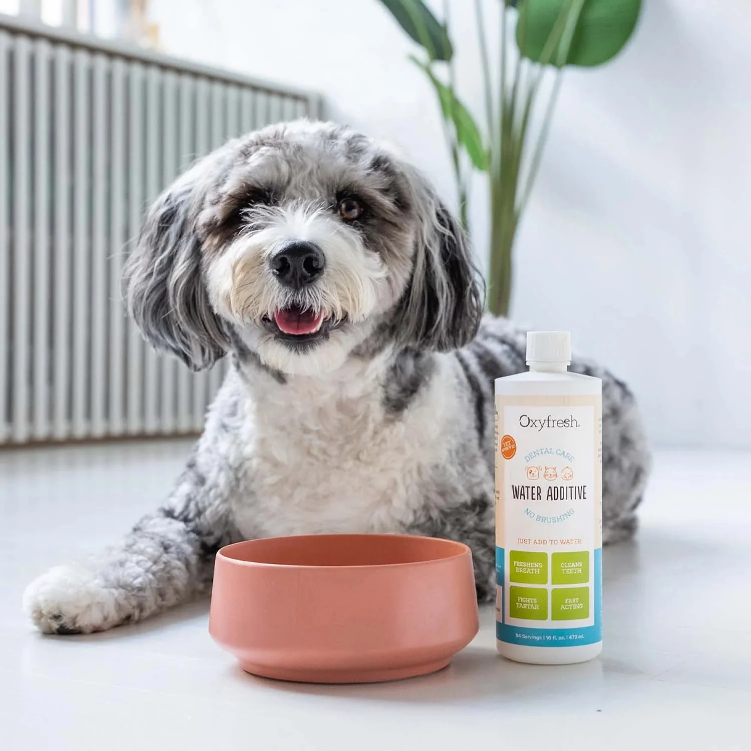 Pet Water Additive - Image 7
