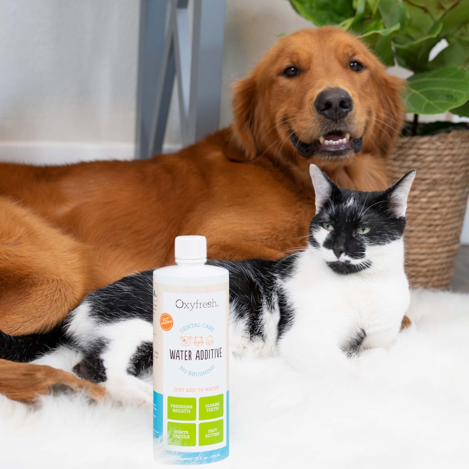 Pet Water Additive - Image 9