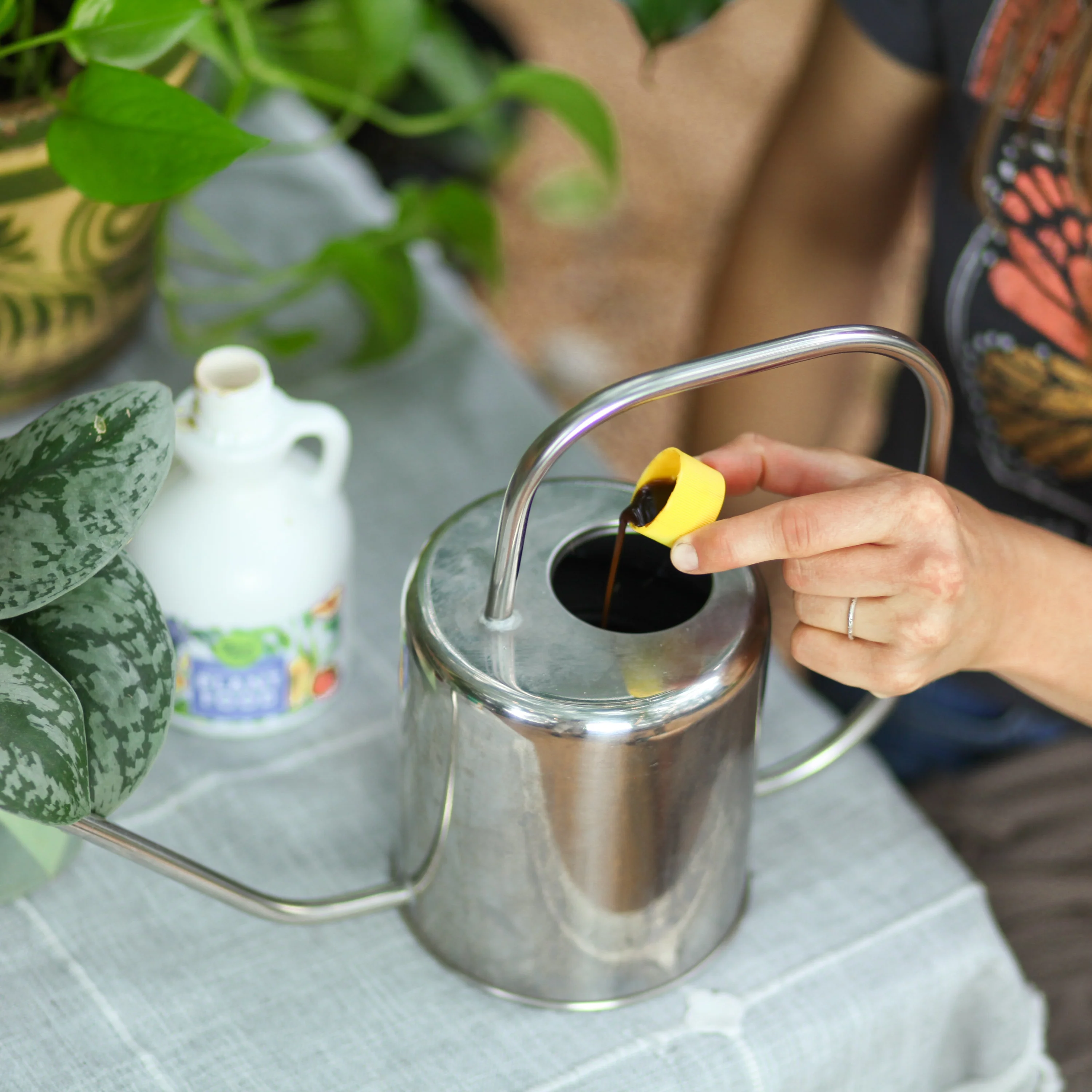 Plant Food - Indoor & Outdoor - Image 11