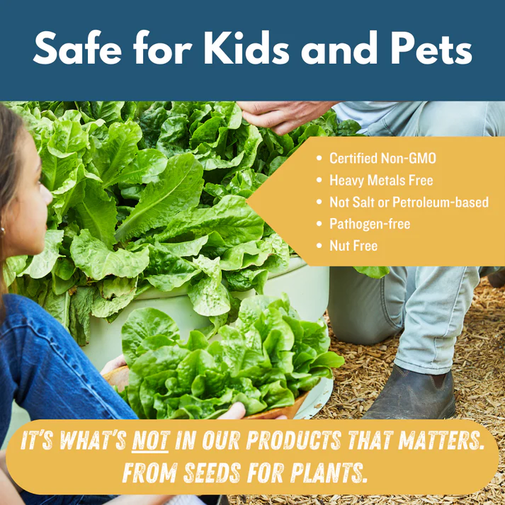 Plant Food - Indoor & Outdoor - Image 17