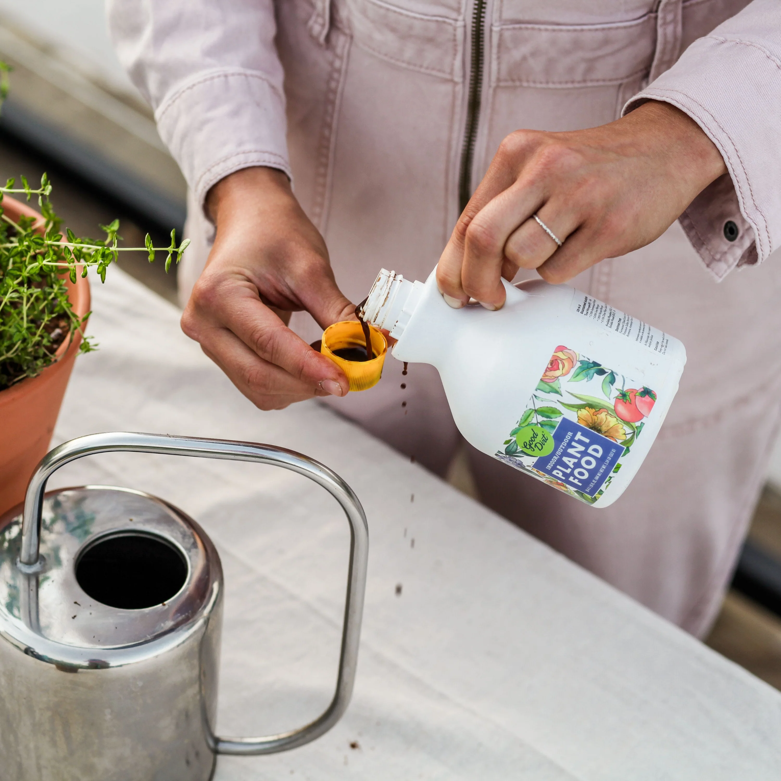Plant Food - Indoor & Outdoor - Image 3