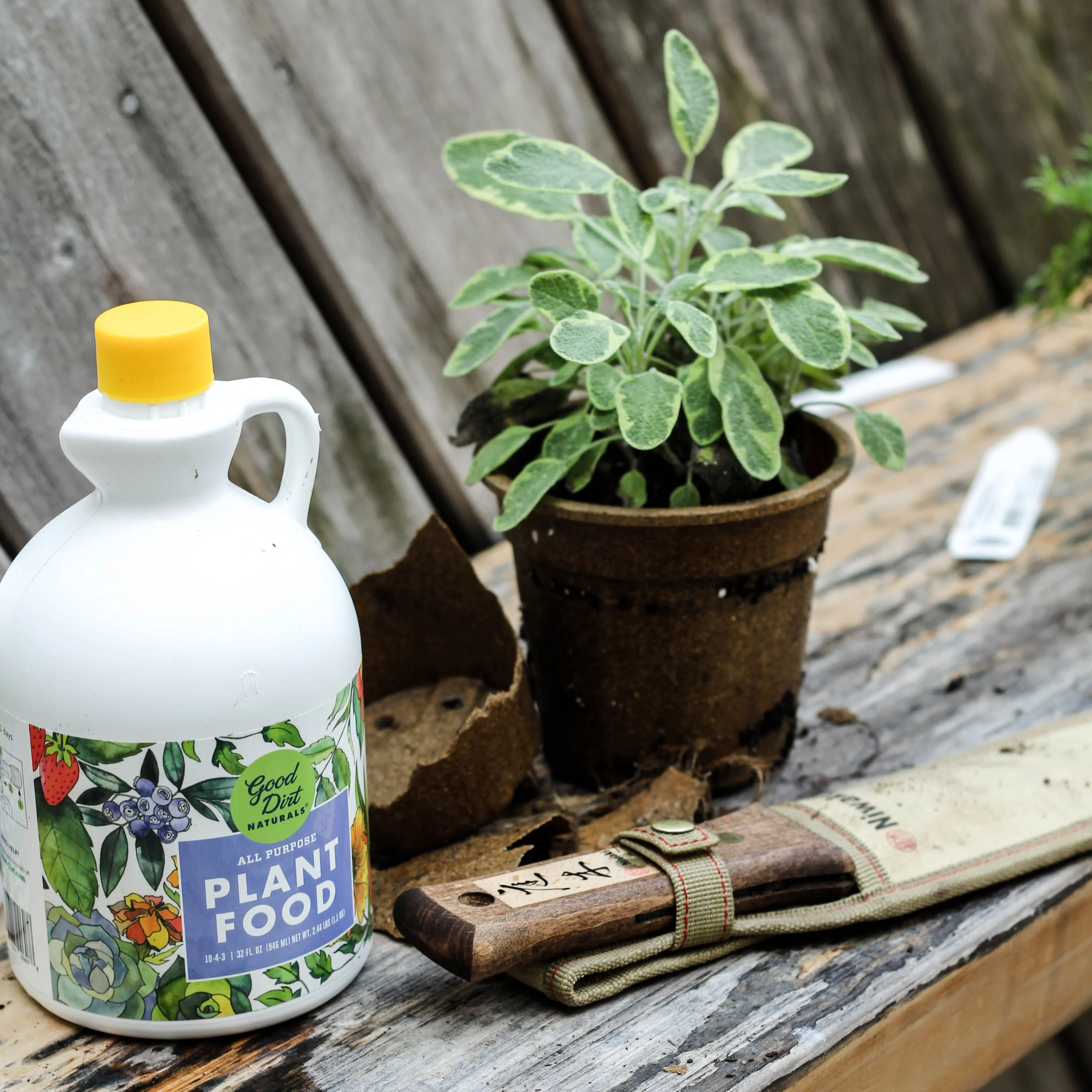 Plant Food - Indoor & Outdoor - Image 8