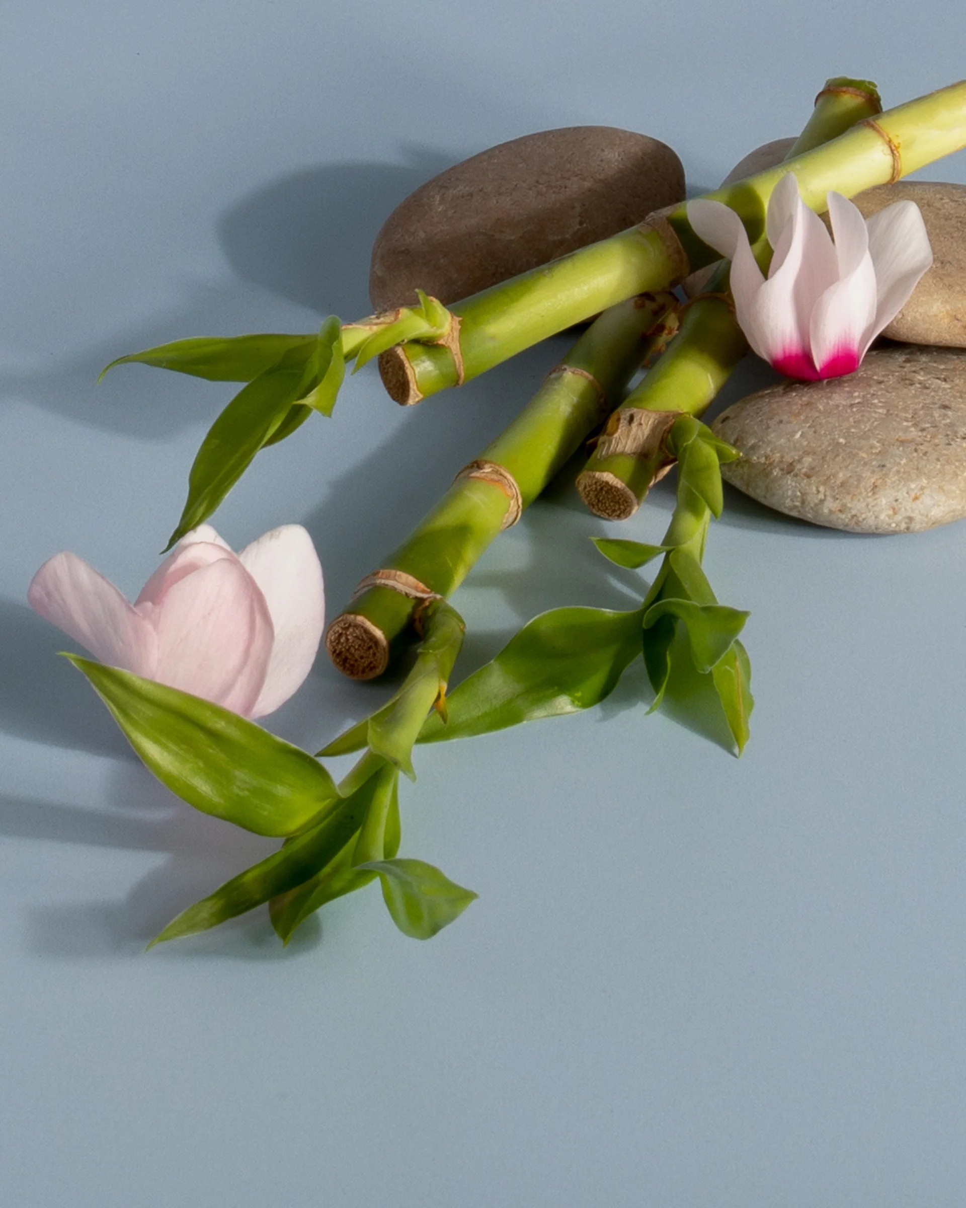 Plug-in Air Freshener Starter Set - Image 71