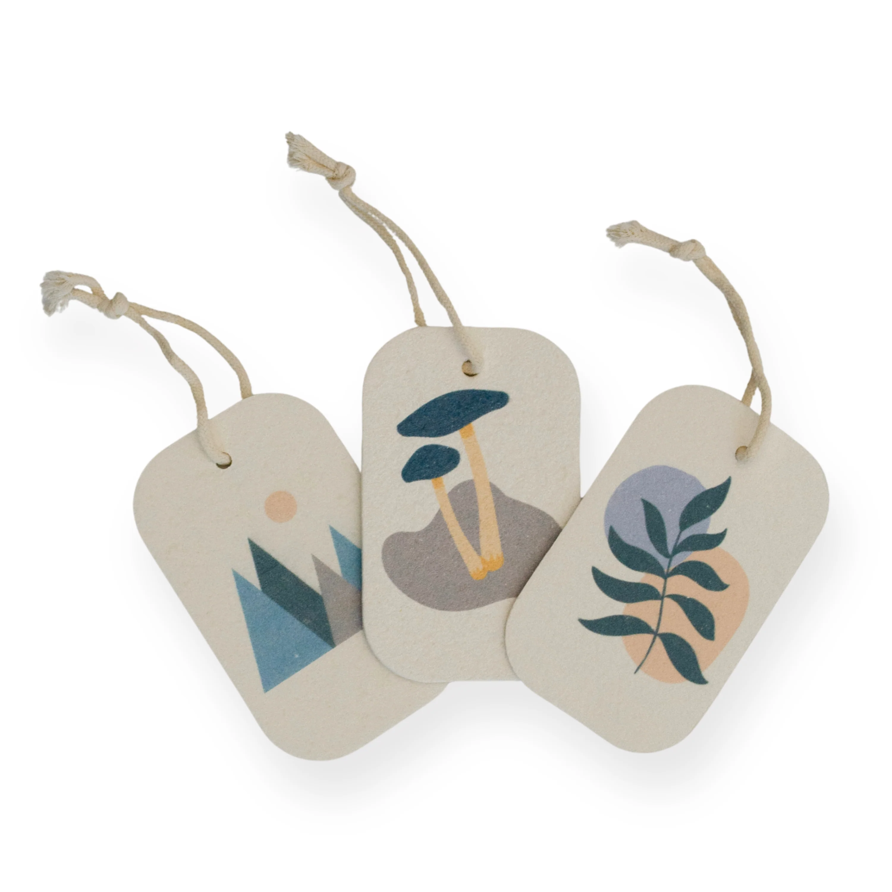 Pop Up Dish Sponges Pack