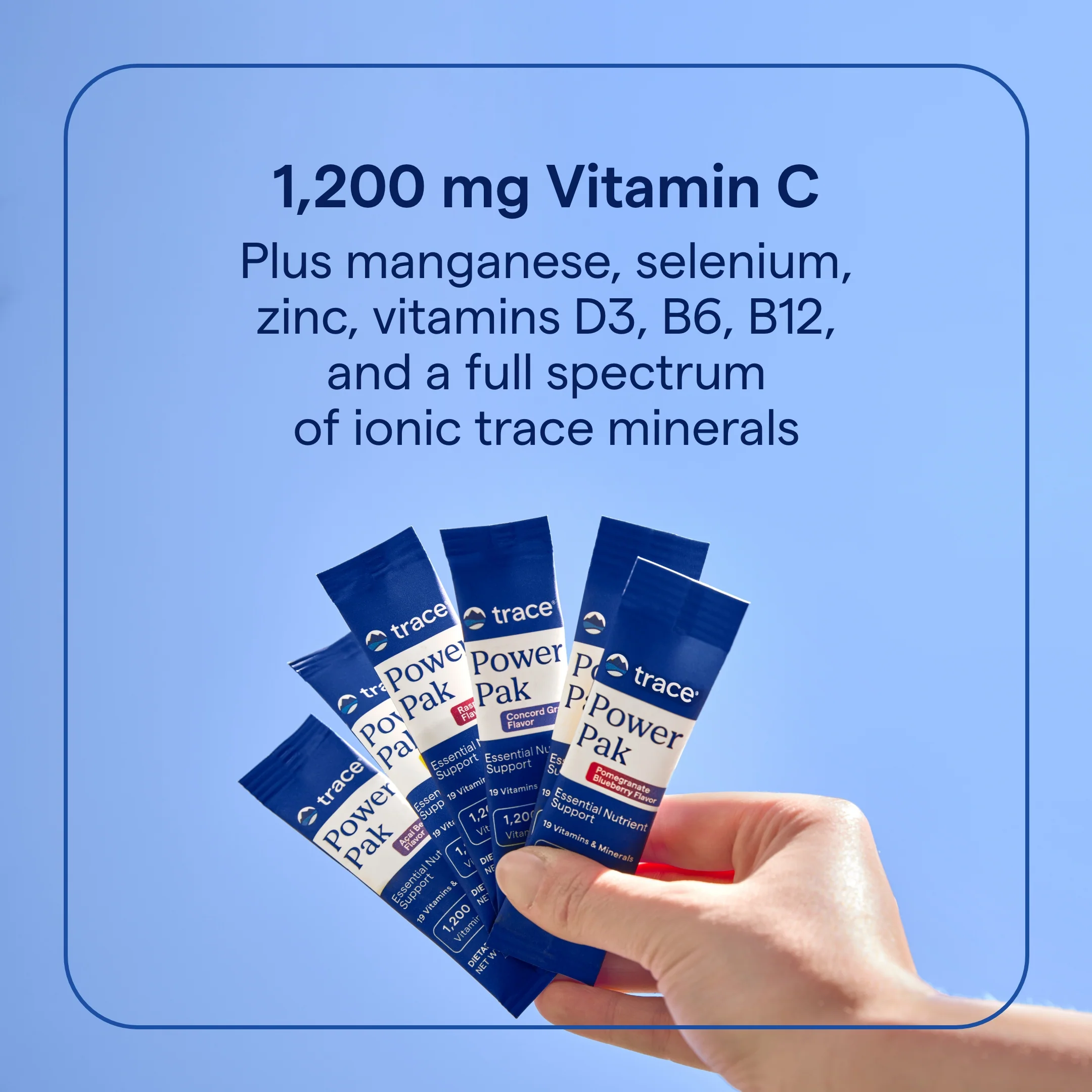 Power Pak - Essential Nutrient Support Packets - Image 10