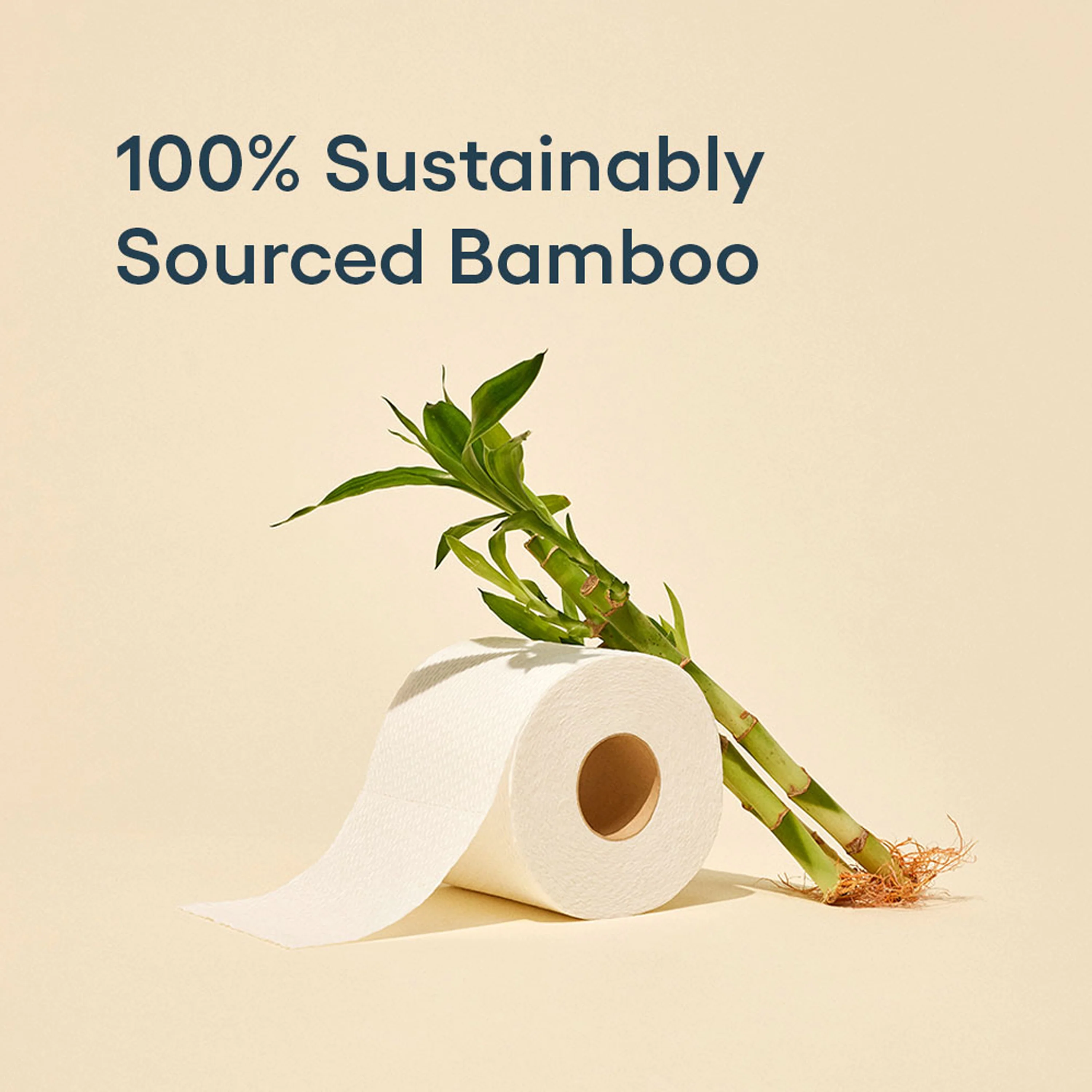 Premium Bamboo Toilet Paper - 300 3-Ply sheets per roll - Image 5