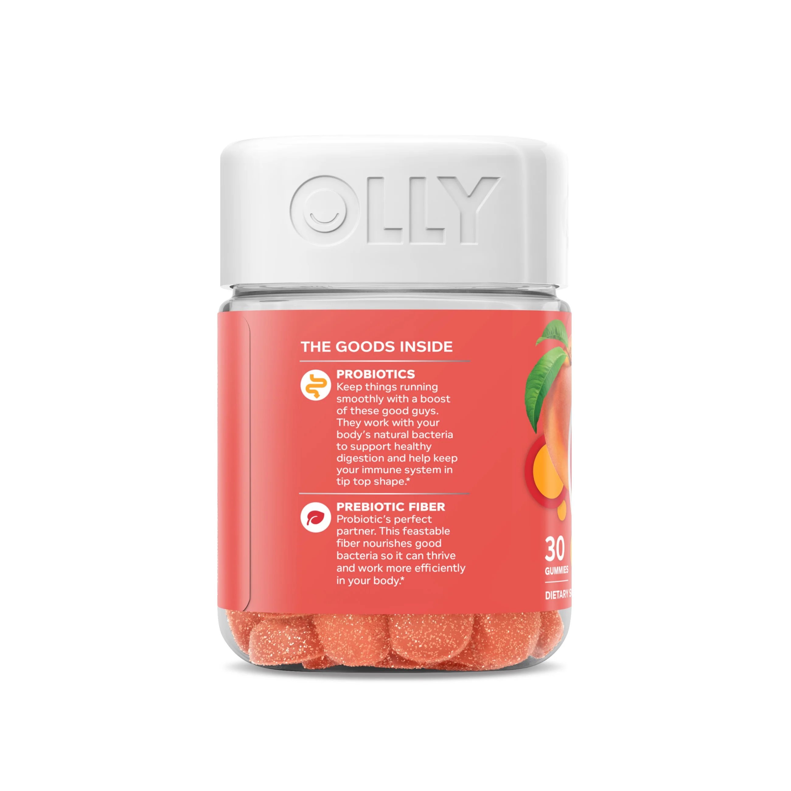 Probiotic + Prebiotic - Image 4