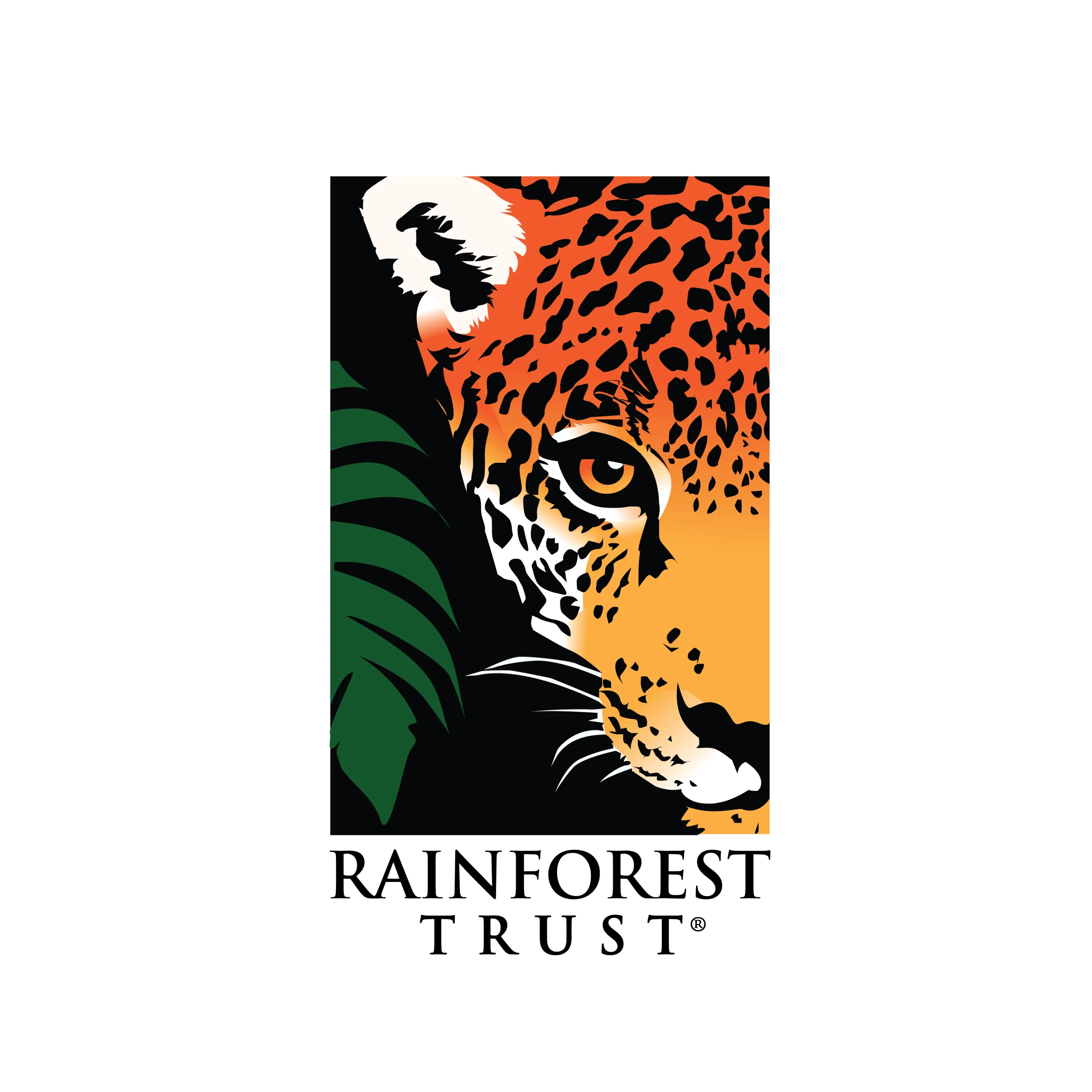 Protect the Brazilian Rainforest - Image 14