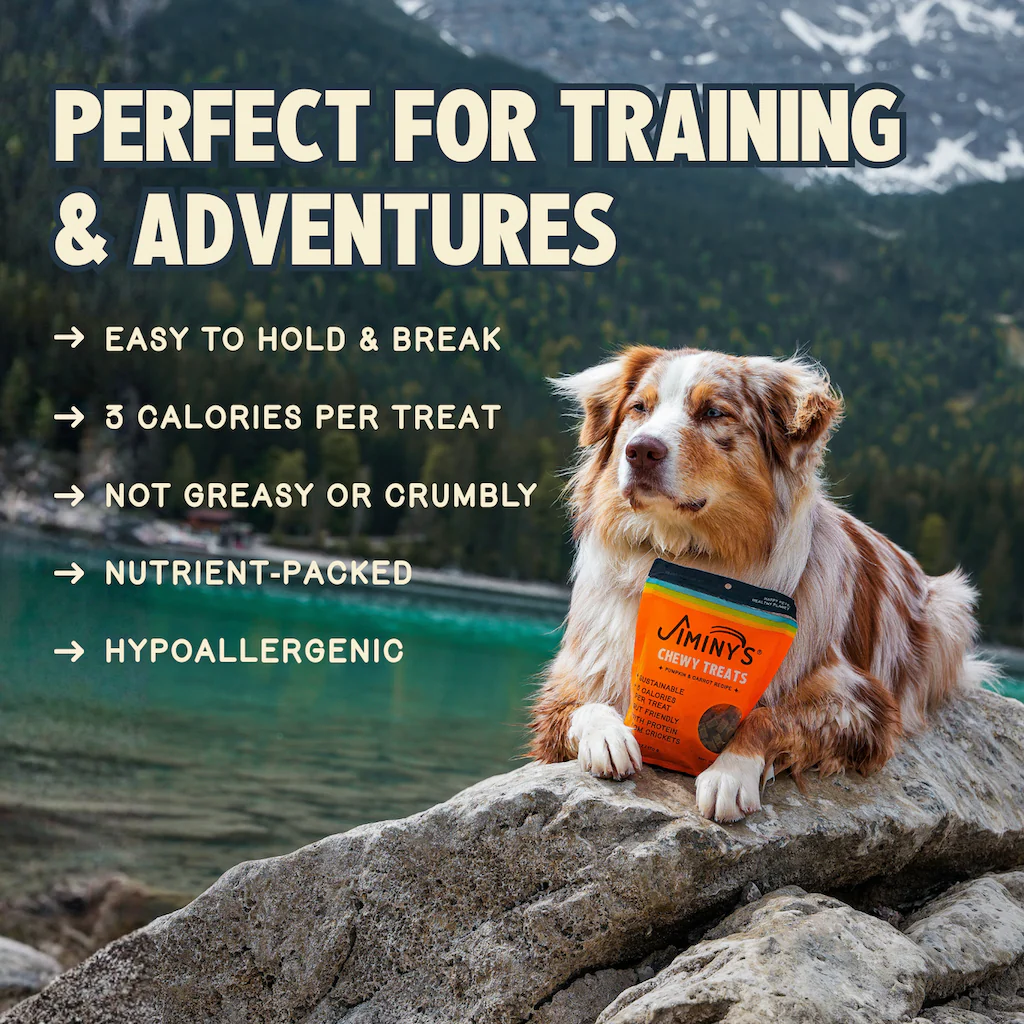 Chewy Pumpkin & Carrot Training Treats - Image 4