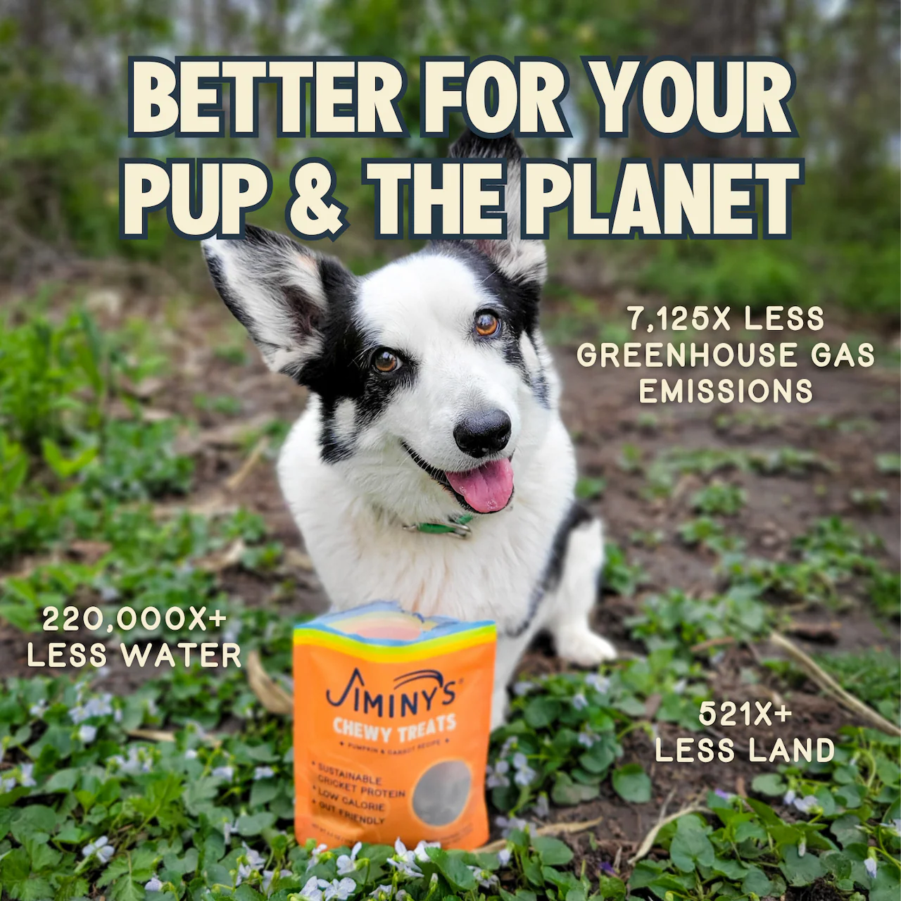 Chewy Pumpkin & Carrot Training Treats - Image 7