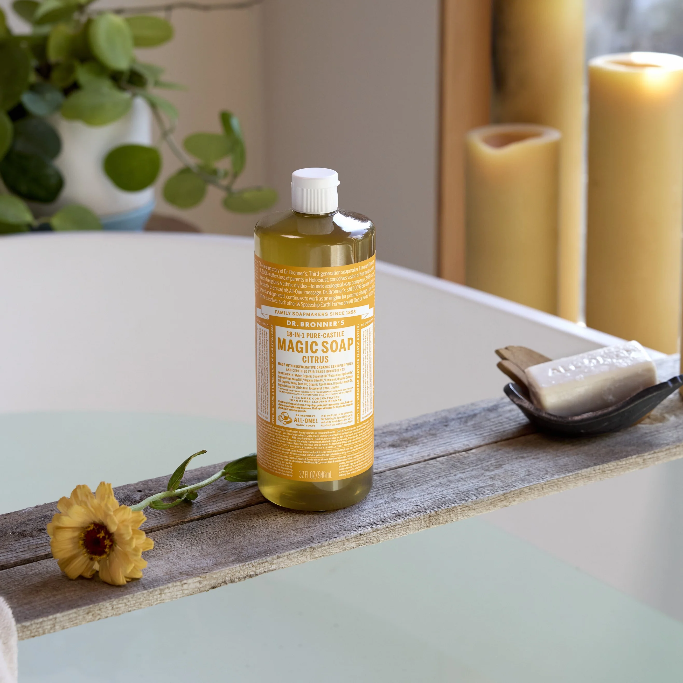 Pure-Castile Liquid Soap - Image 15