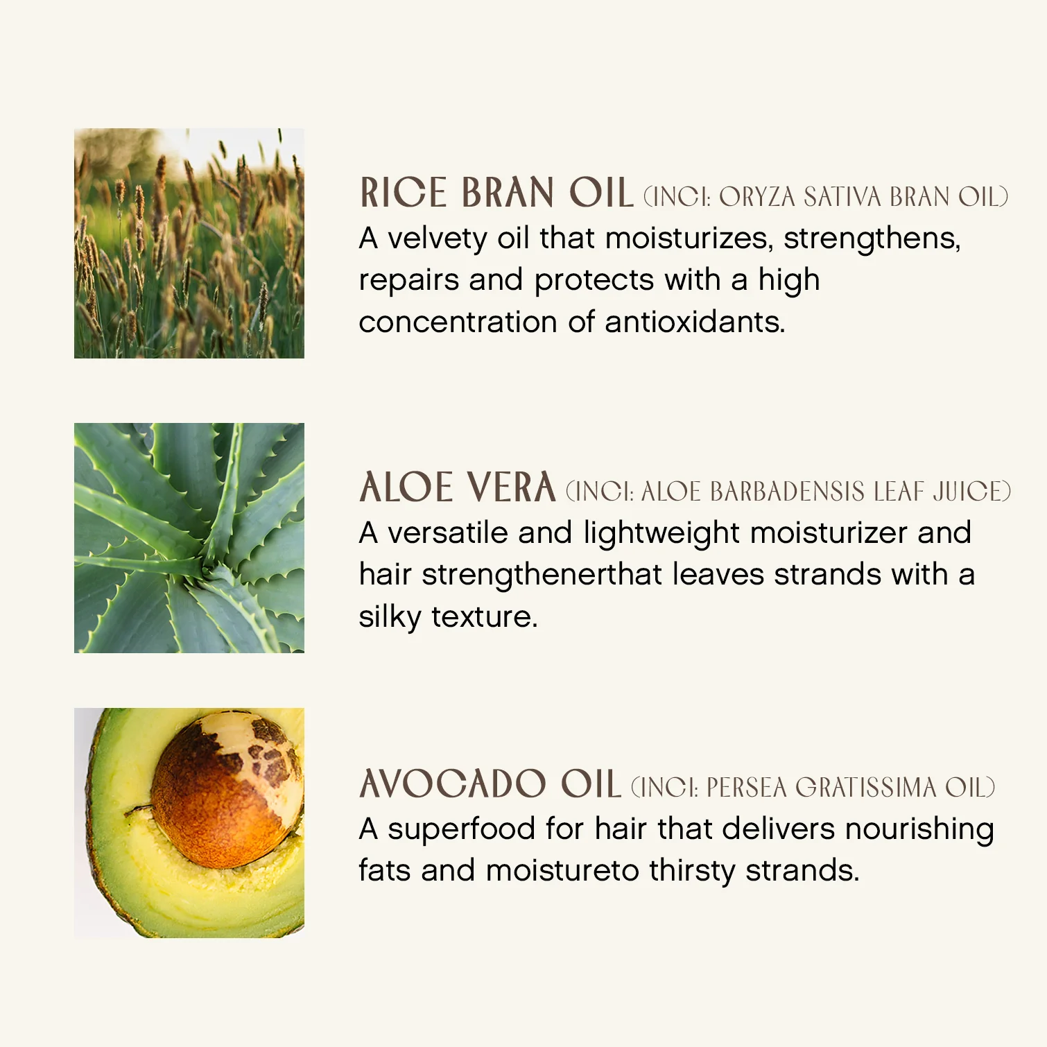 Pure Inspiration Daily Conditioner - Image 3