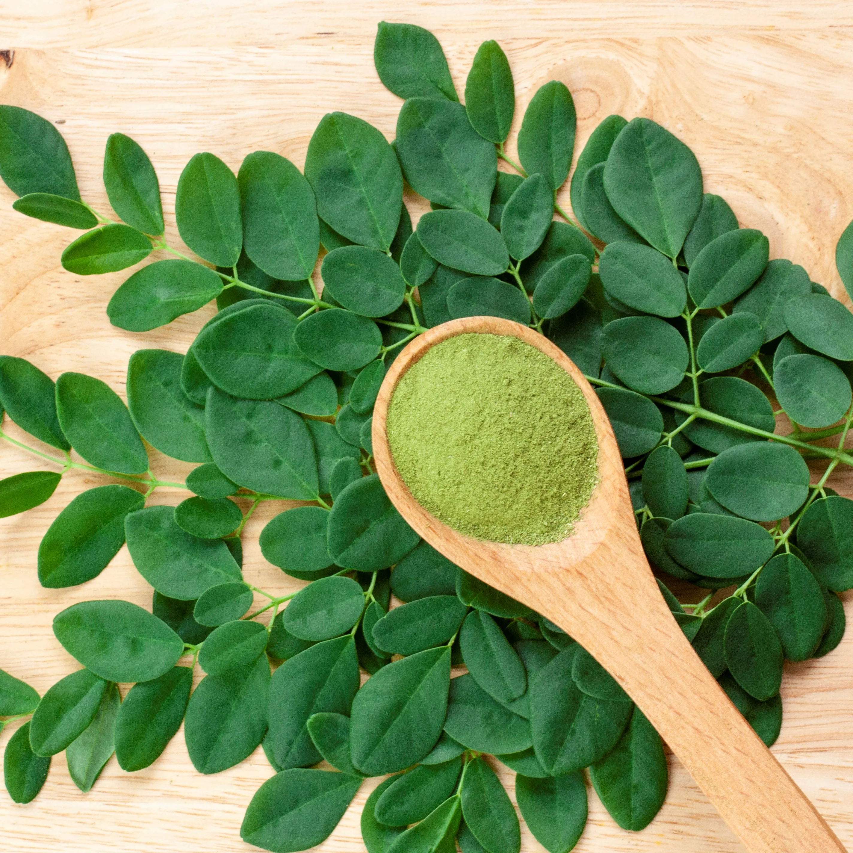 Pure Moringa Organic Superfood Powder - Image 5