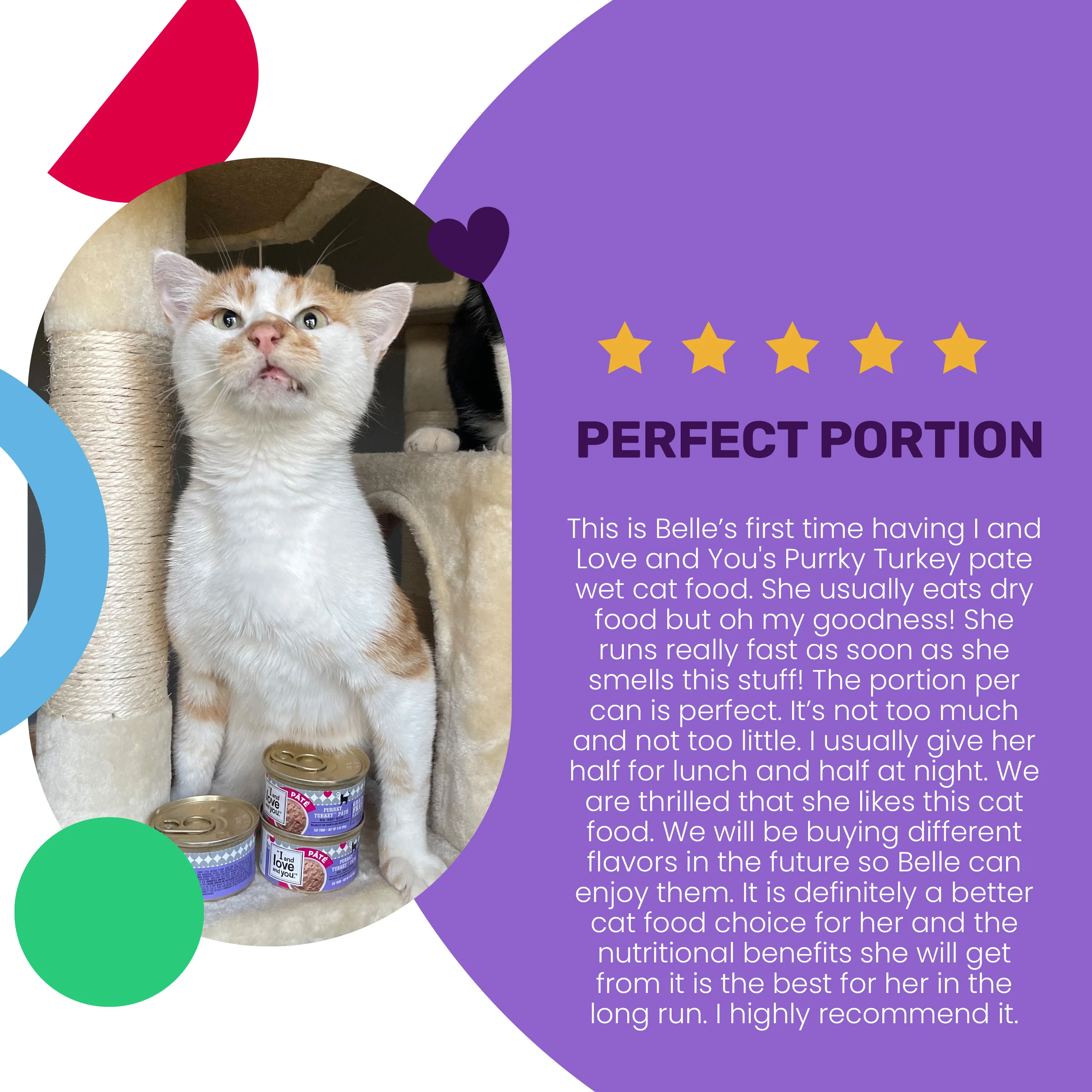 Purrky Turkey Pate Grain-Free Canned Cat Food - Image 4