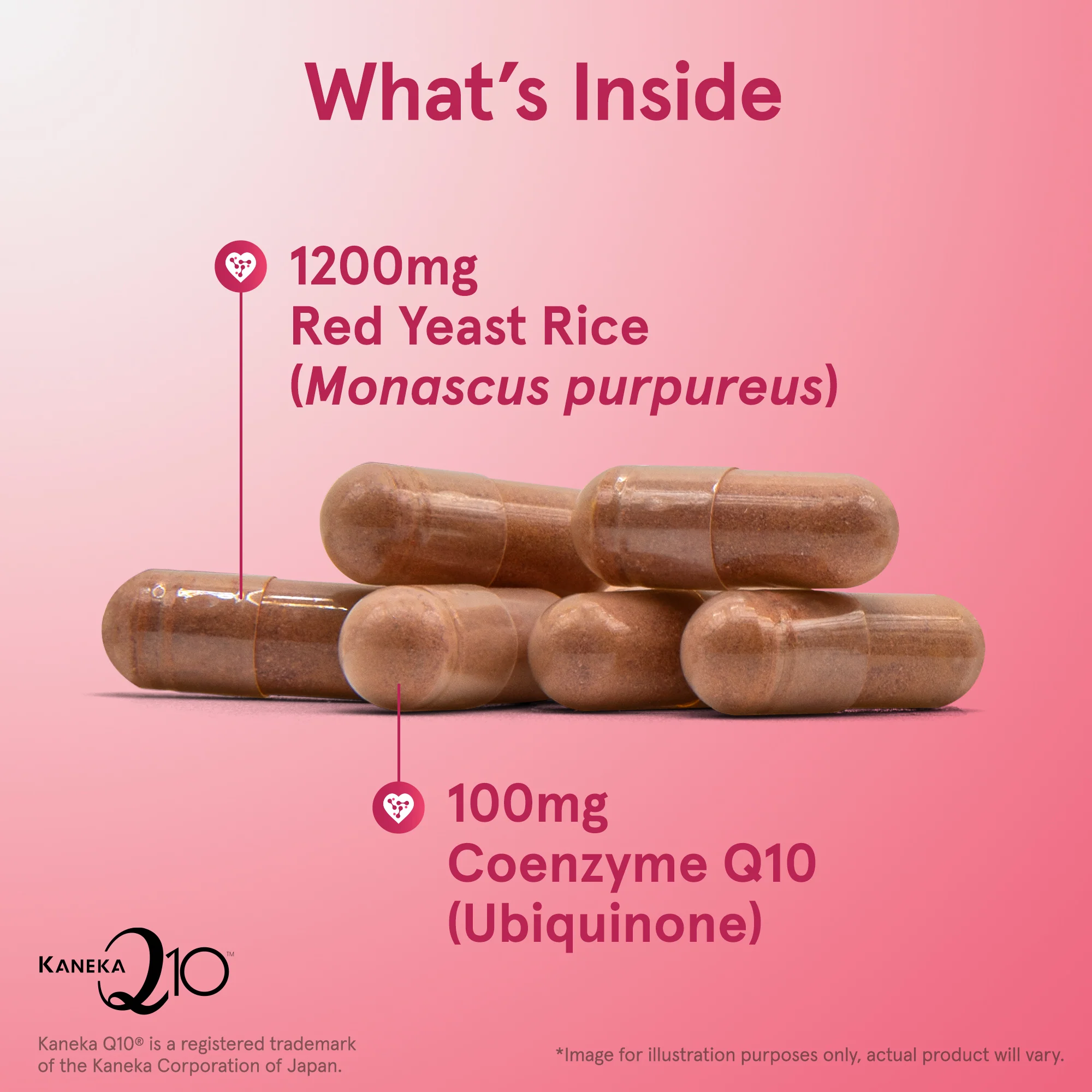 Red Yeast Rice 1200mg & Co-Q10 - Image 5