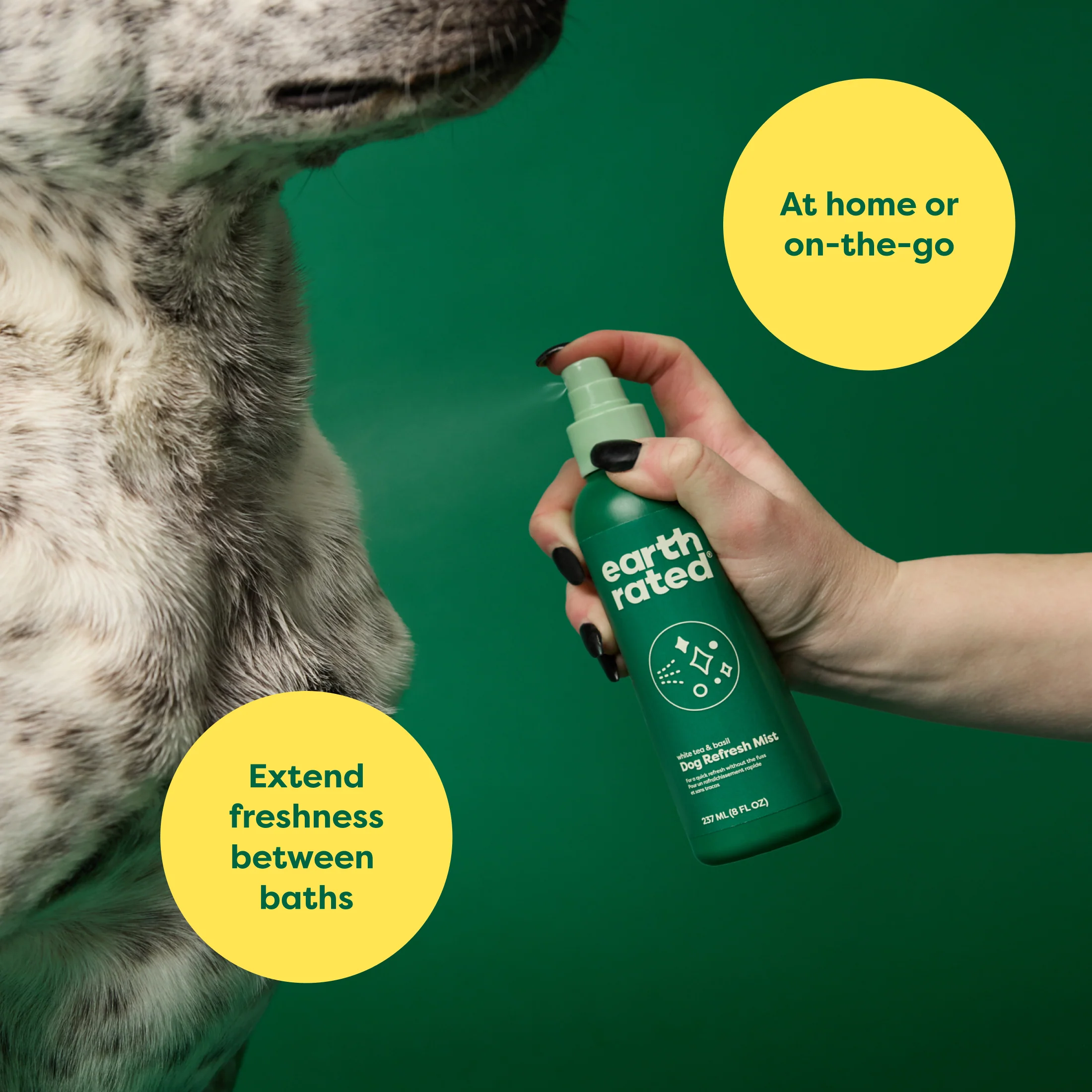 Deodorizing & Conditioning Refresh Mist for Dogs - Image 2
