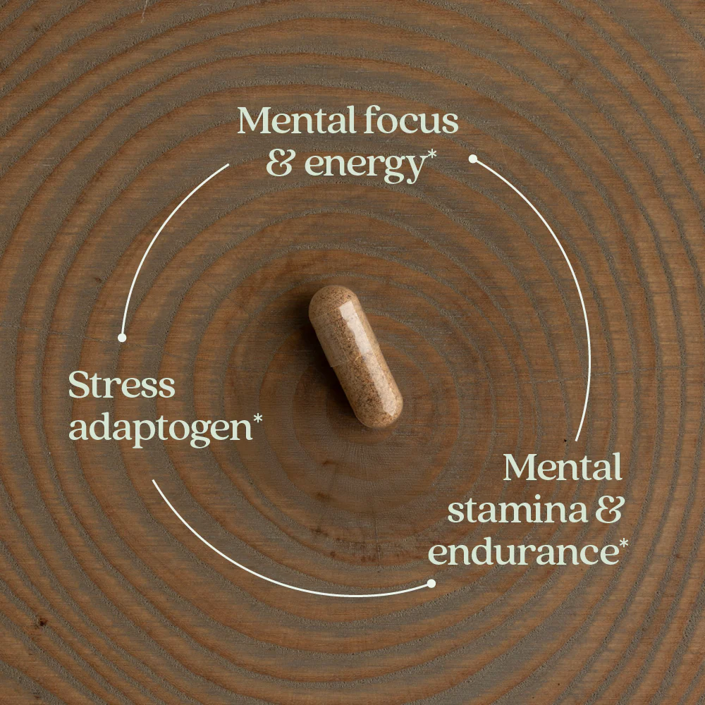 Rhodiola Force™ - Image 3