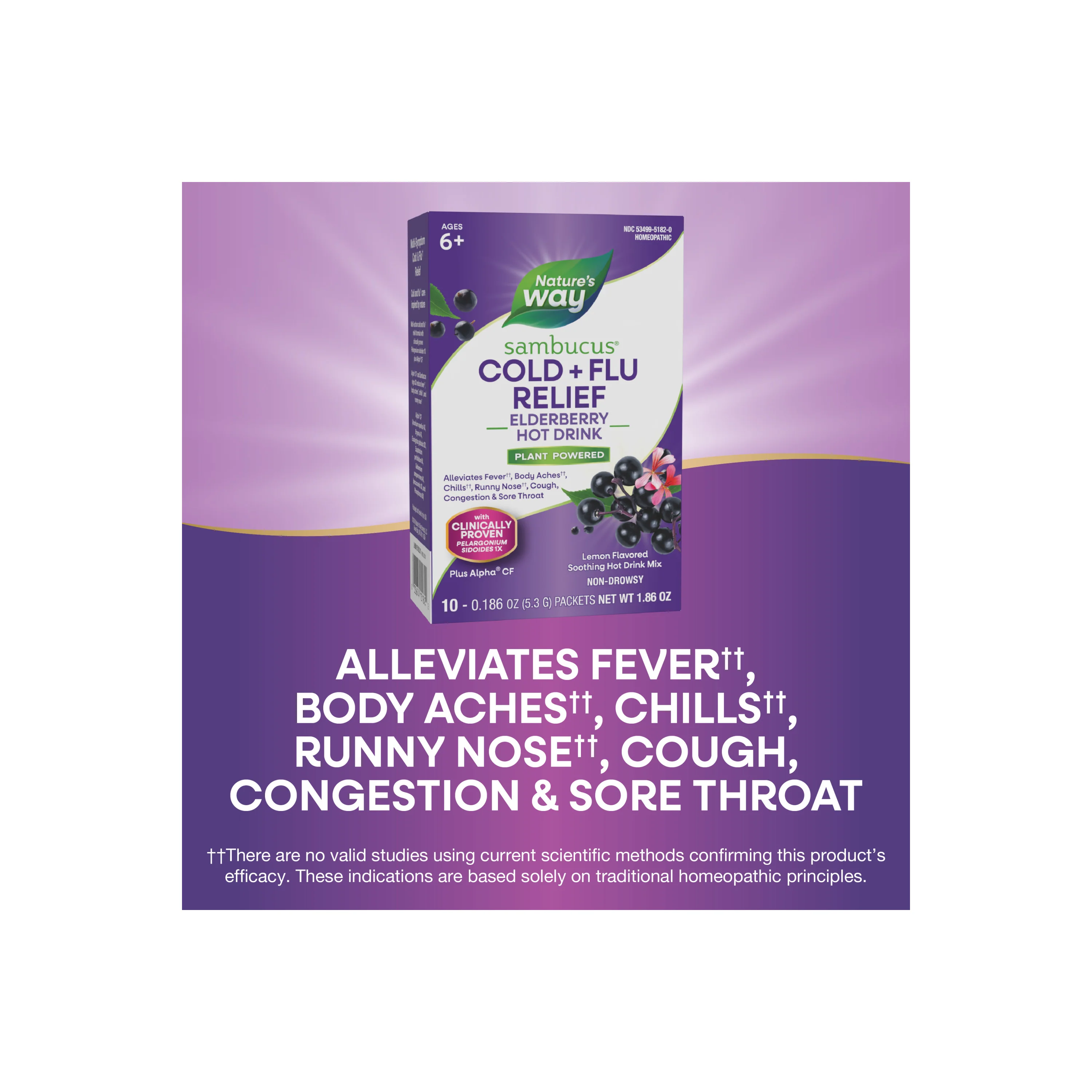 Sambucus Cold+Flu Relief Hot Drink - Image 10
