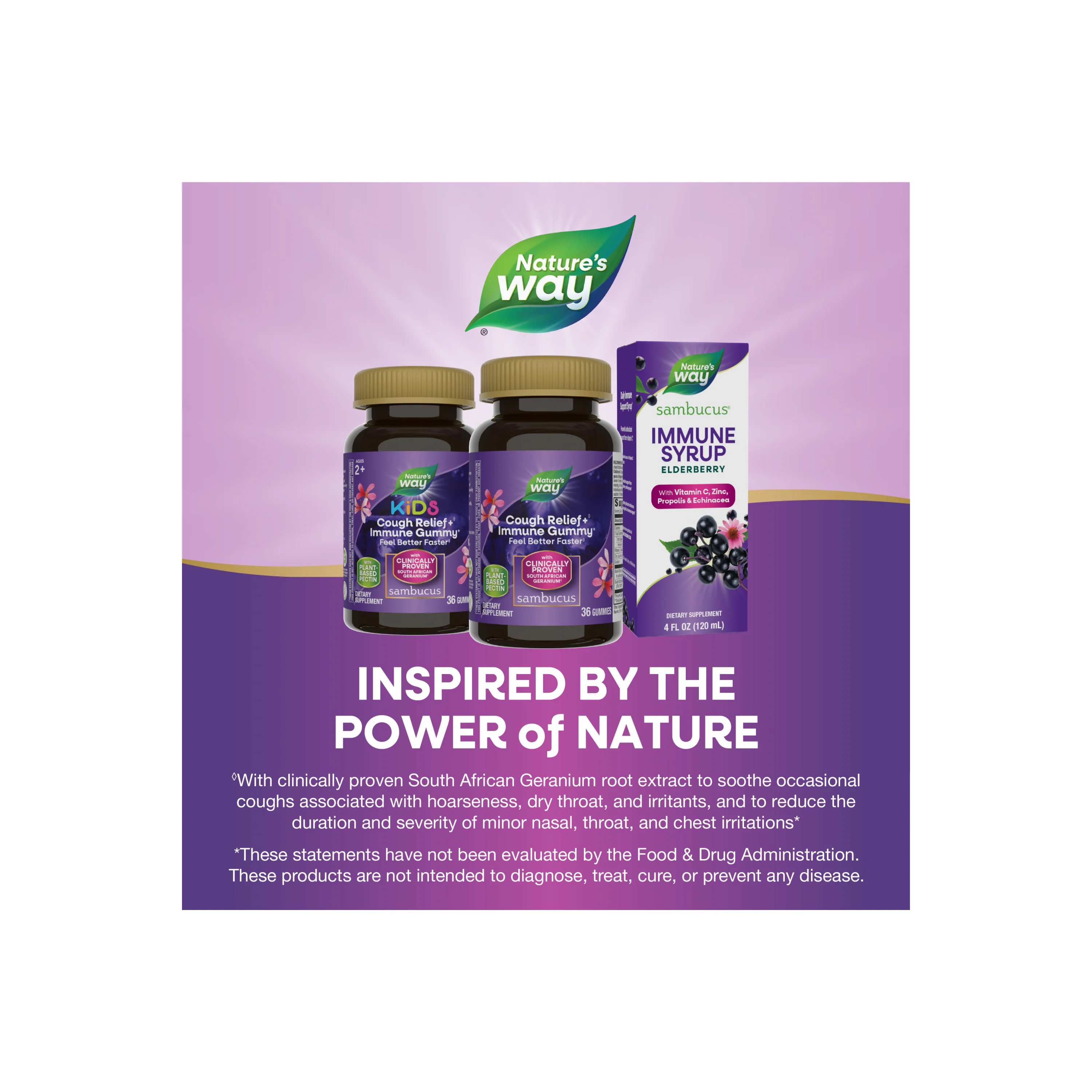 Sambucus Cough Relief + Immune Gummy - Image 10