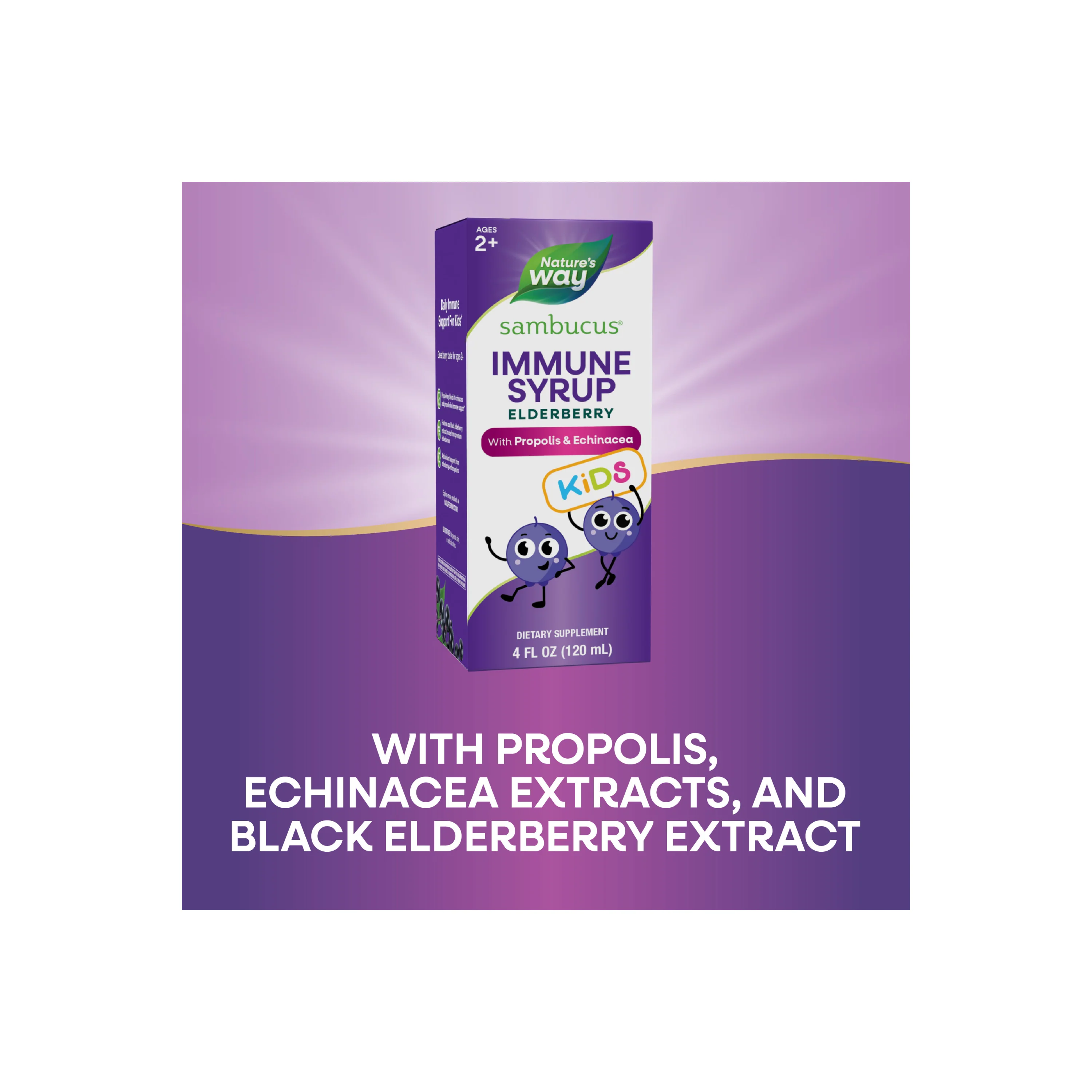 Sambucus Immune Syrup for Kids* - Image 11