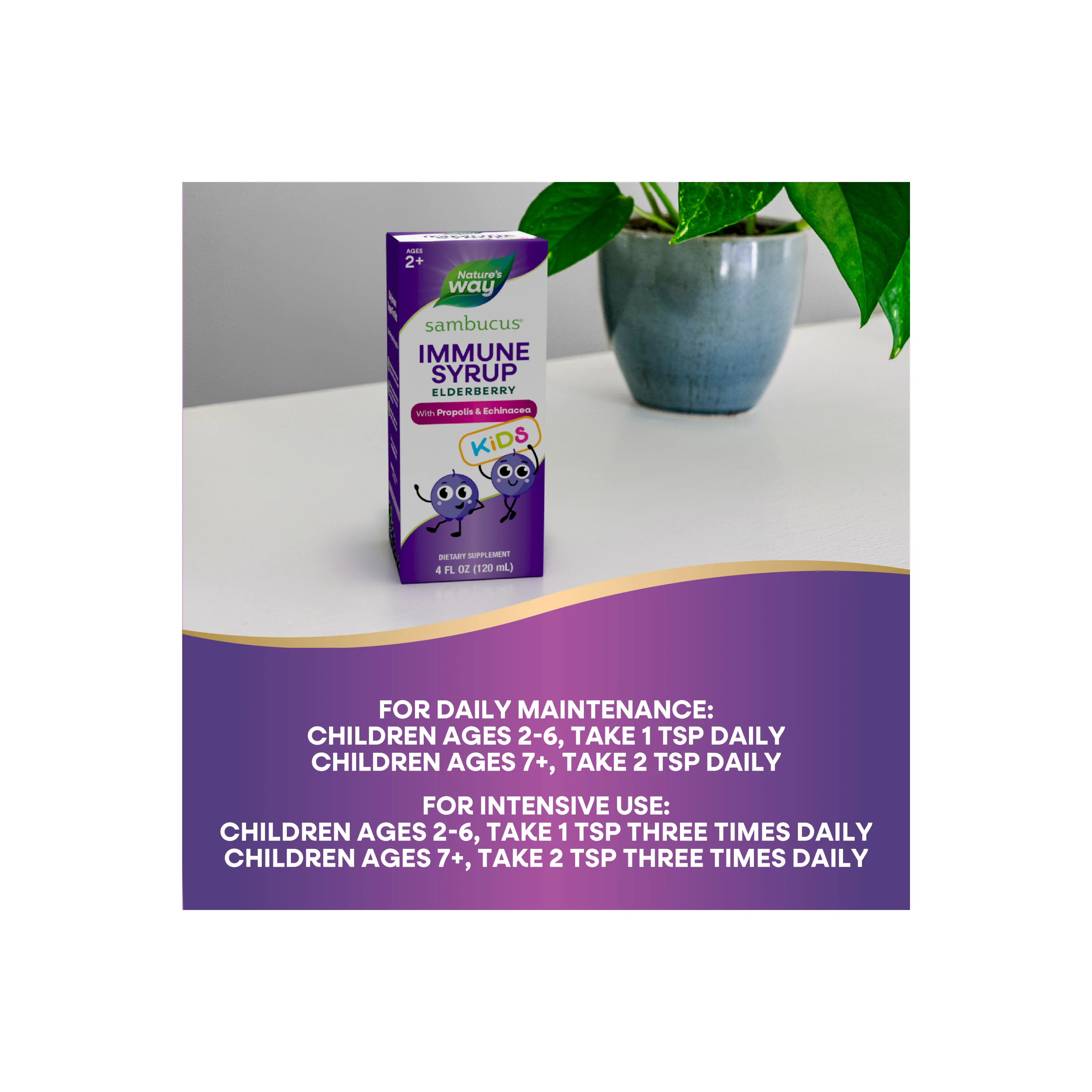 Sambucus Immune Syrup for Kids* - Image 13