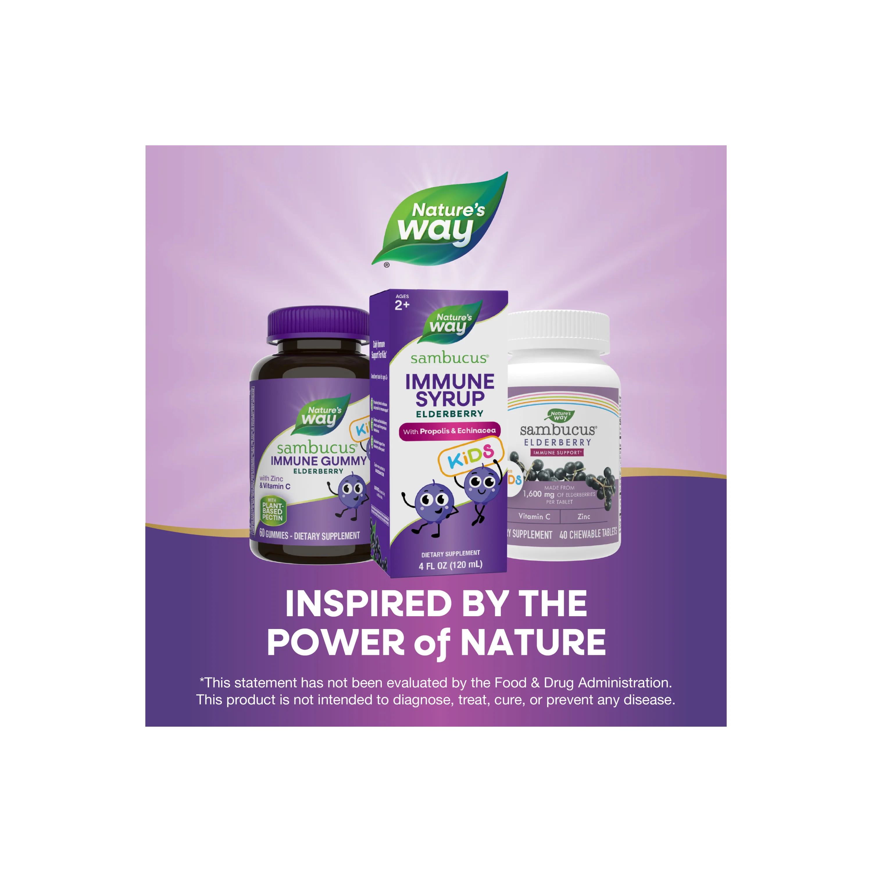 Sambucus Immune Syrup for Kids* - Image 3